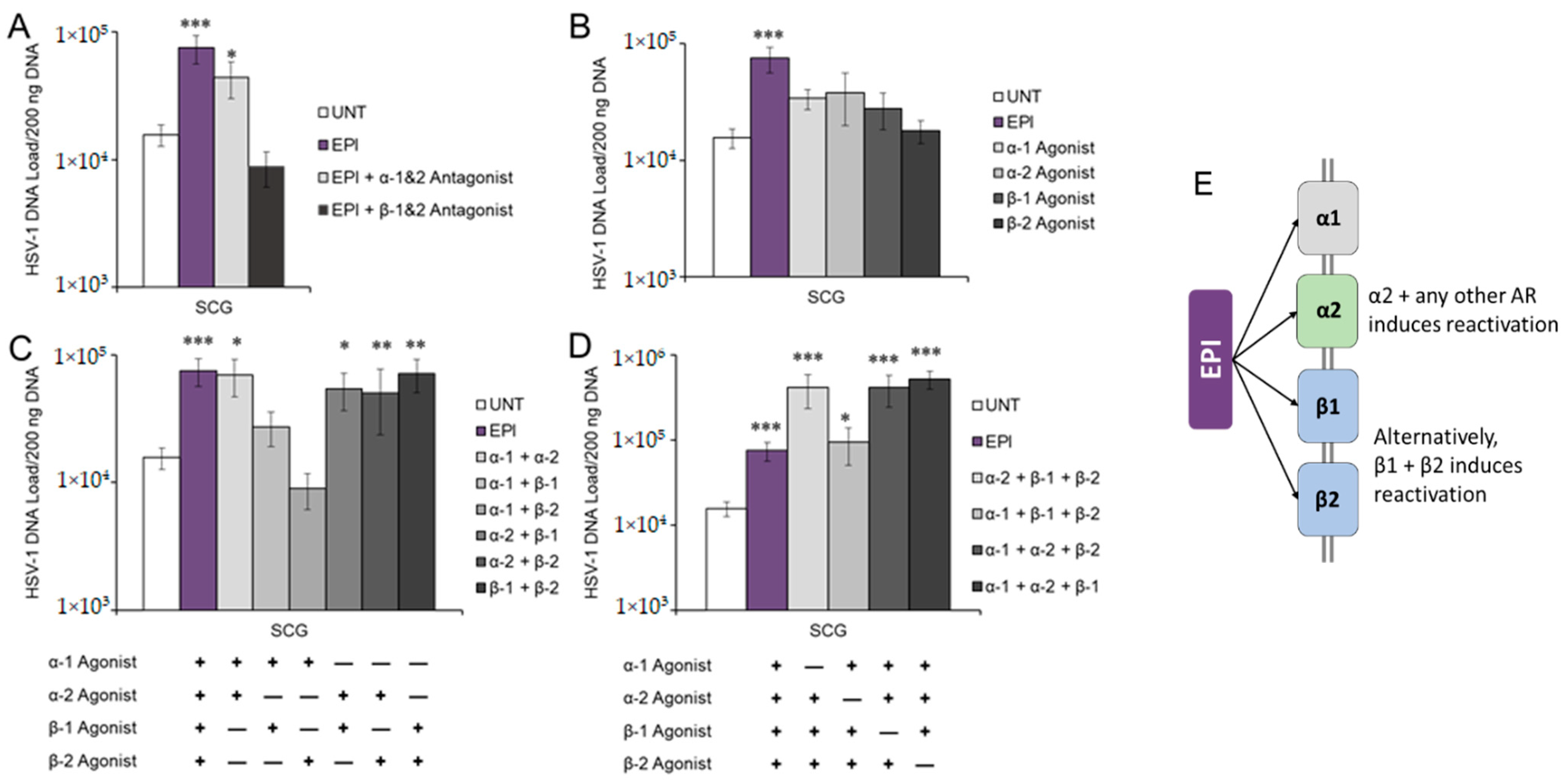 Viruses 14 01115 g002