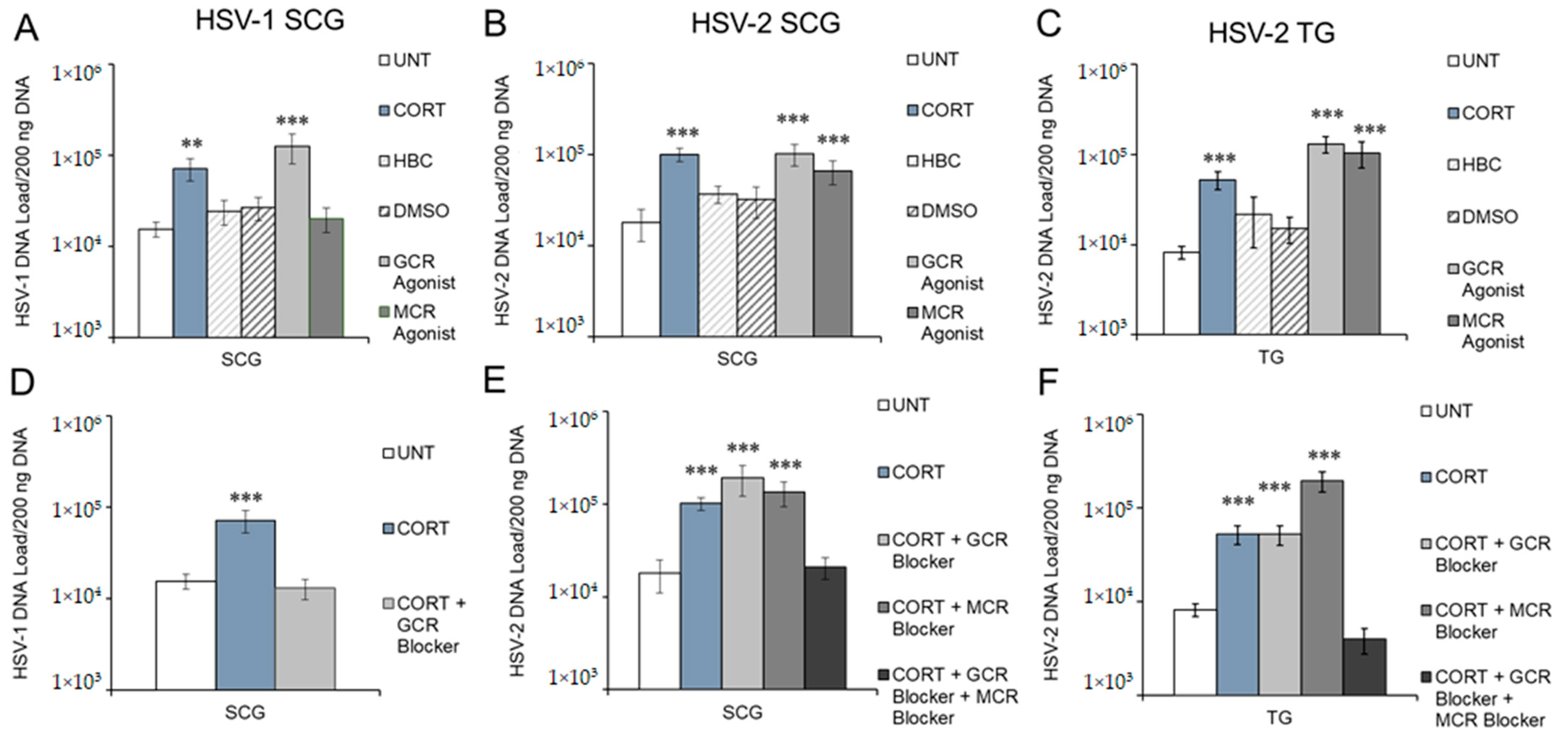Viruses 14 01115 g003
