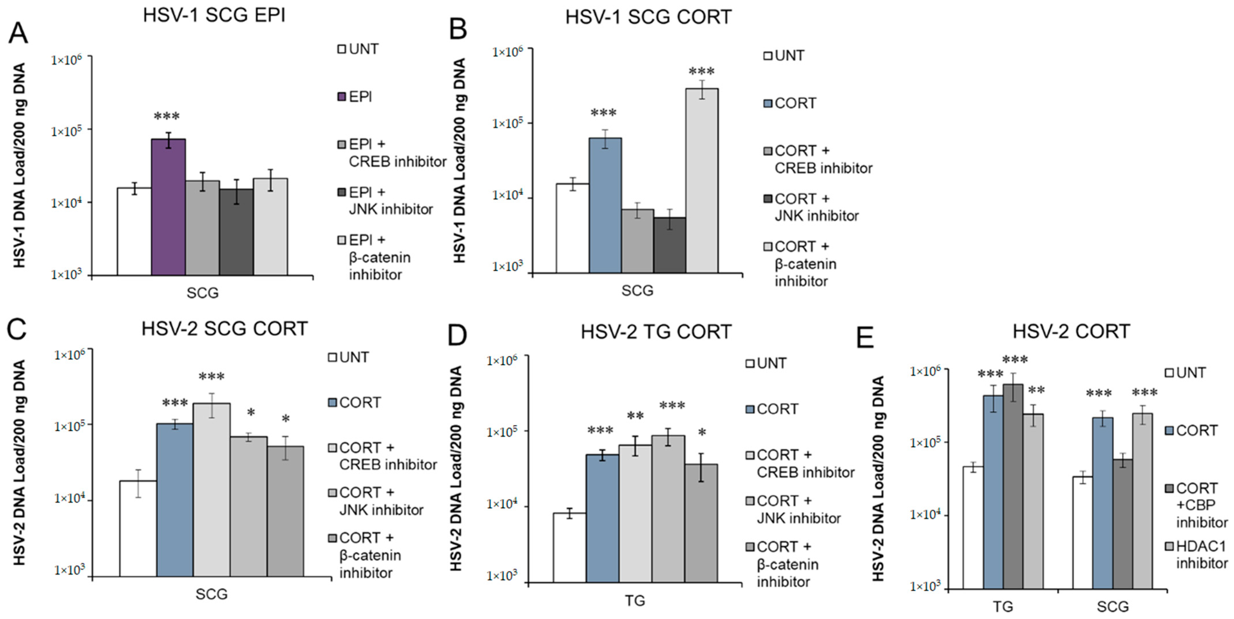 Viruses 14 01115 g006