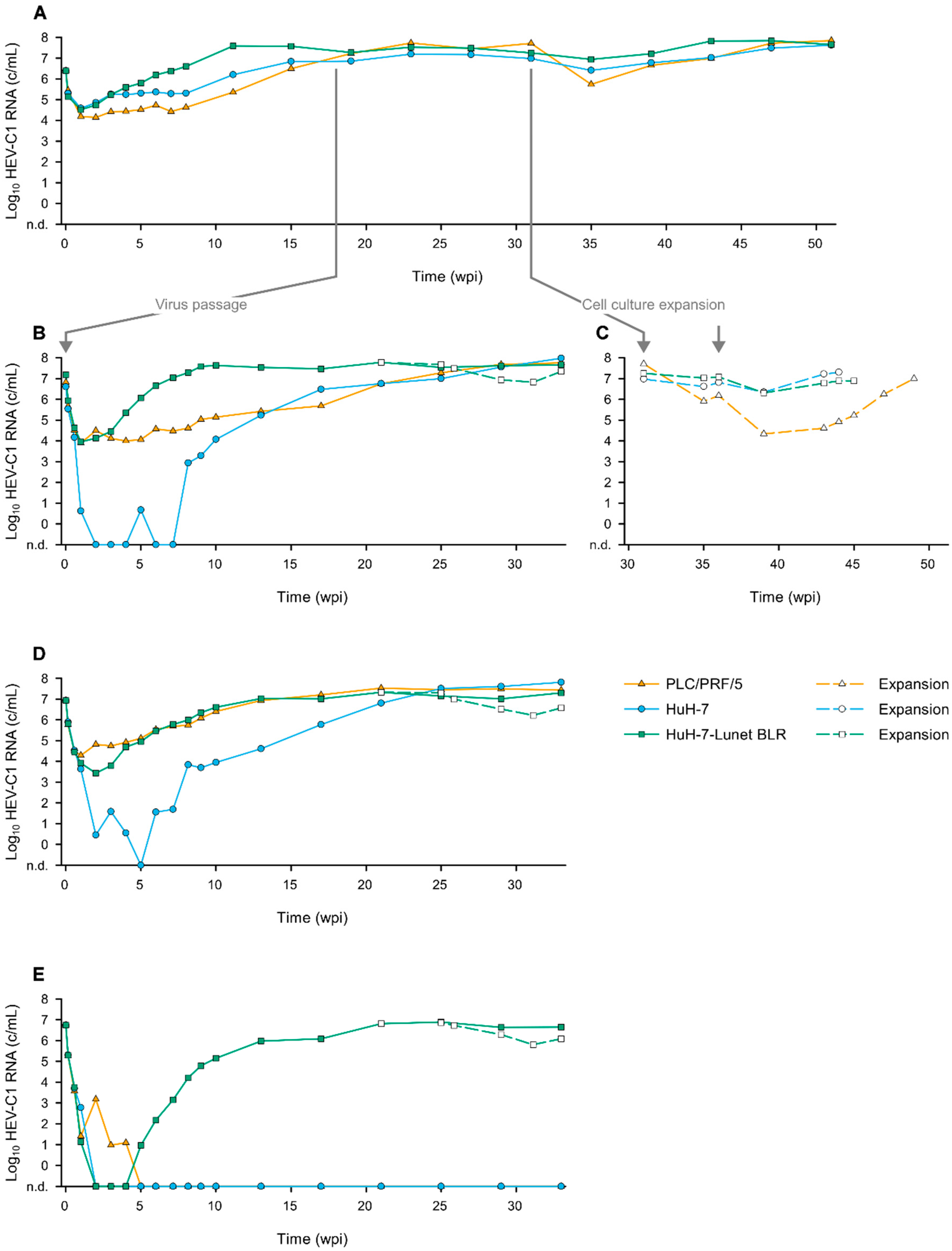 Viruses 14 01116 g001