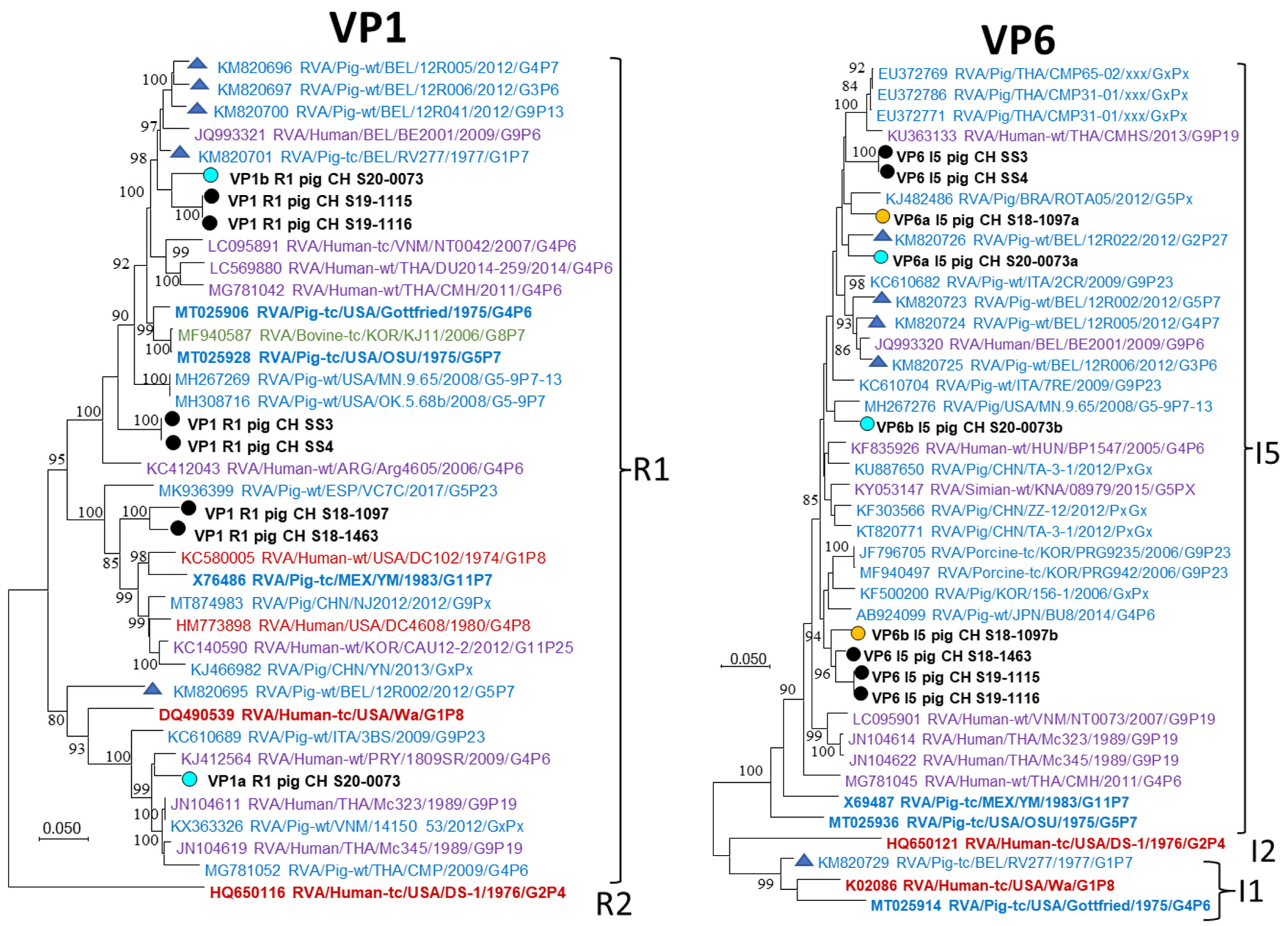 Viruses 14 01117 g006