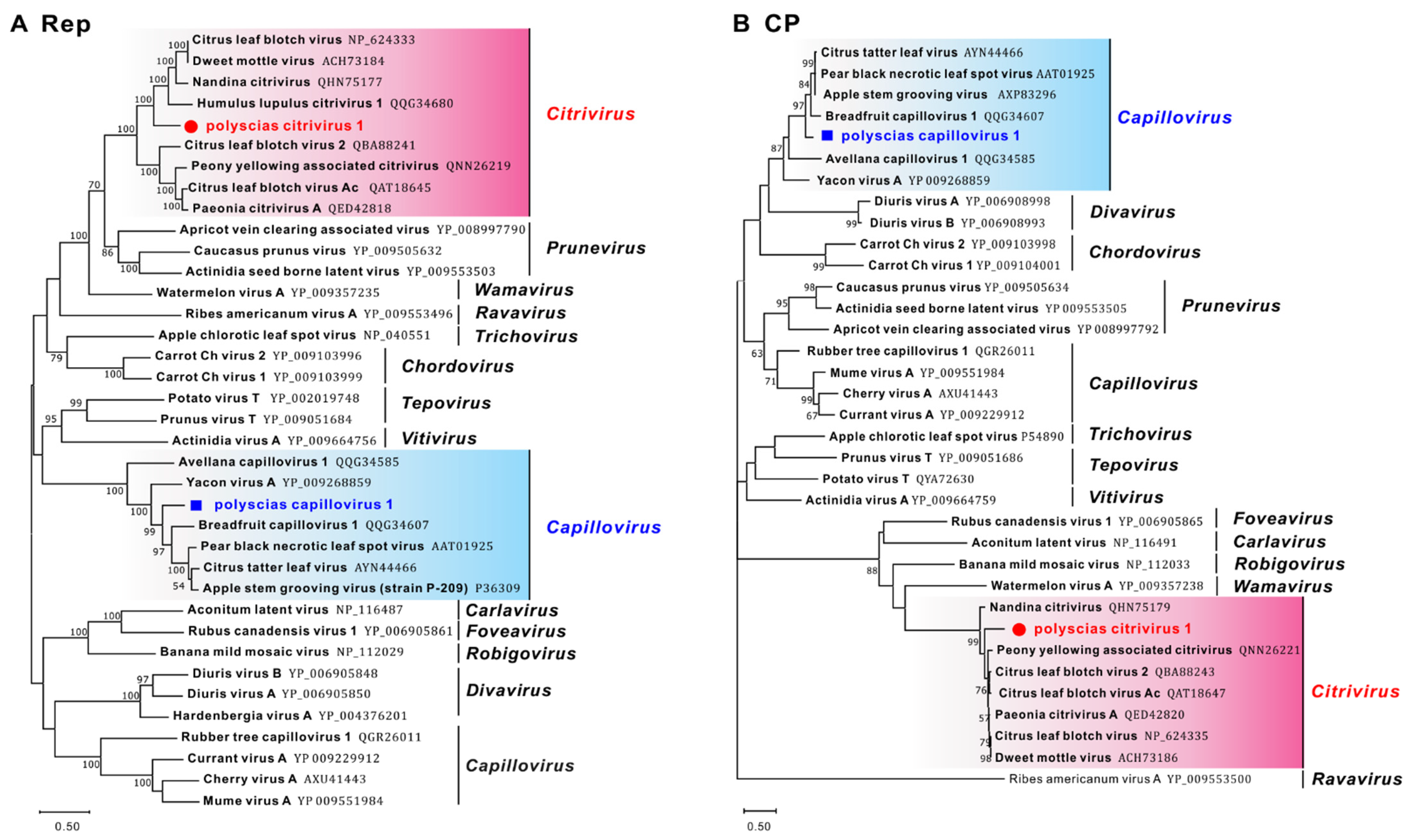Viruses 14 01120 g002