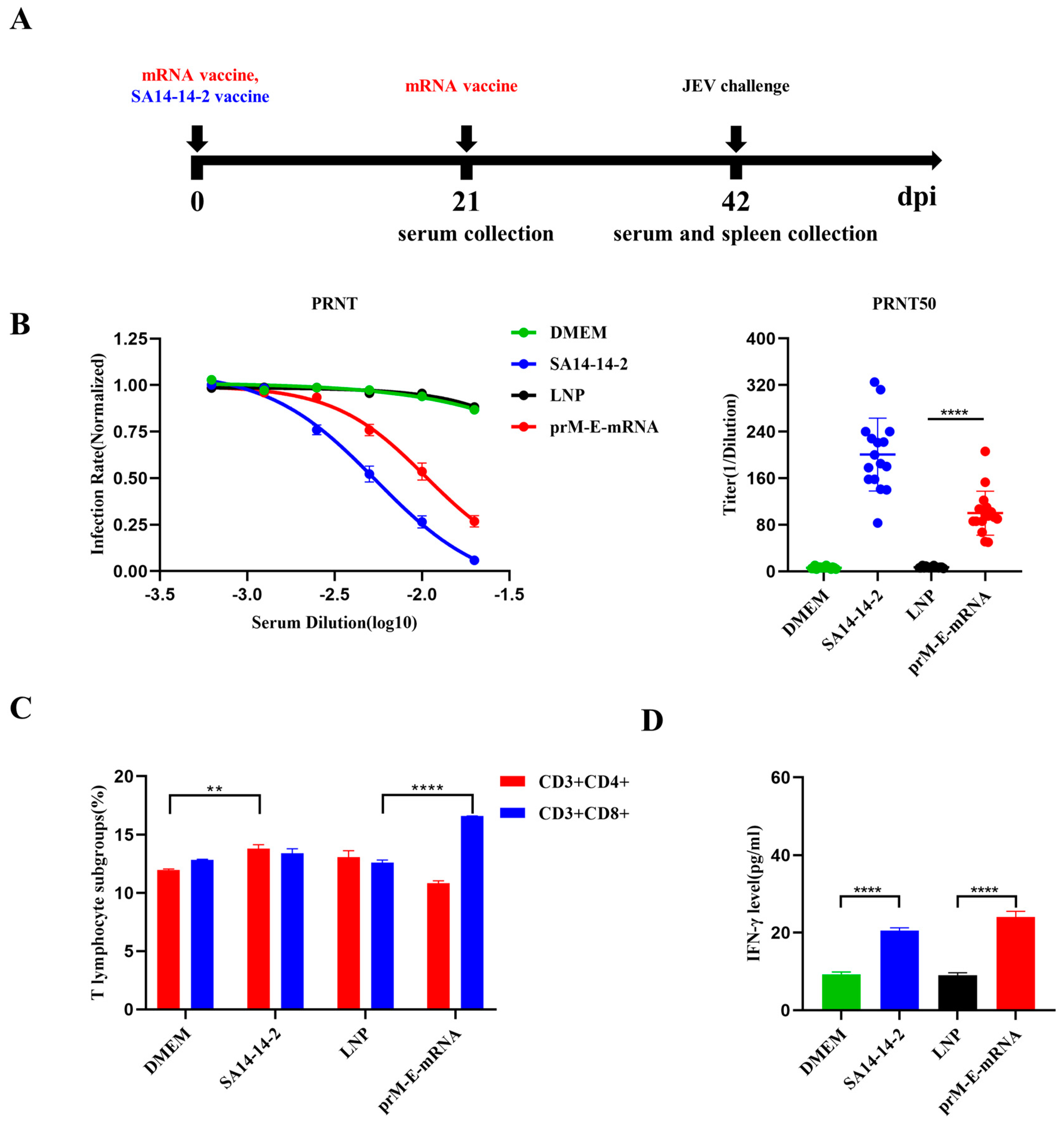 Viruses 14 01121 g002