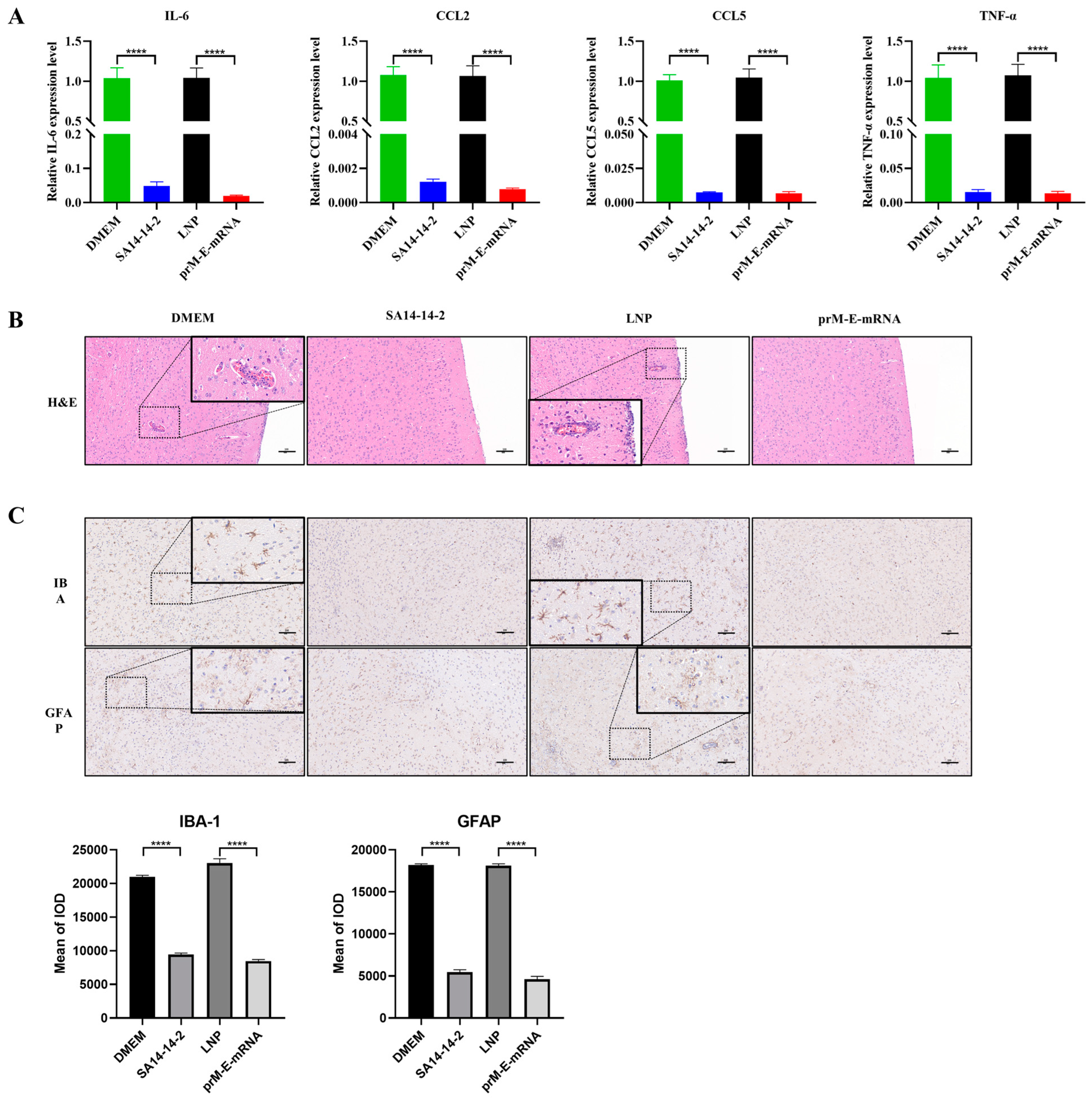 Viruses 14 01121 g004