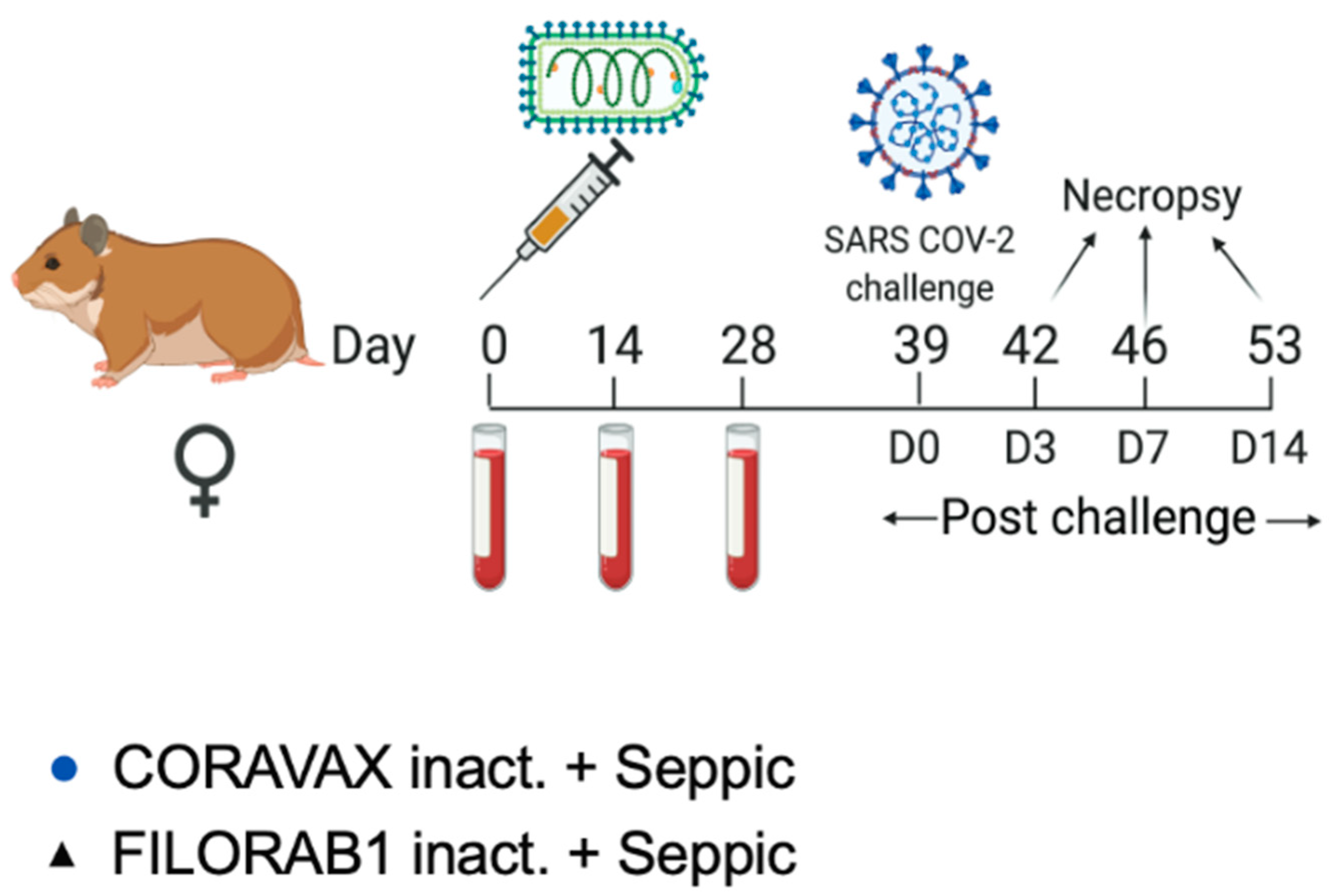 Viruses 14 01126 g001