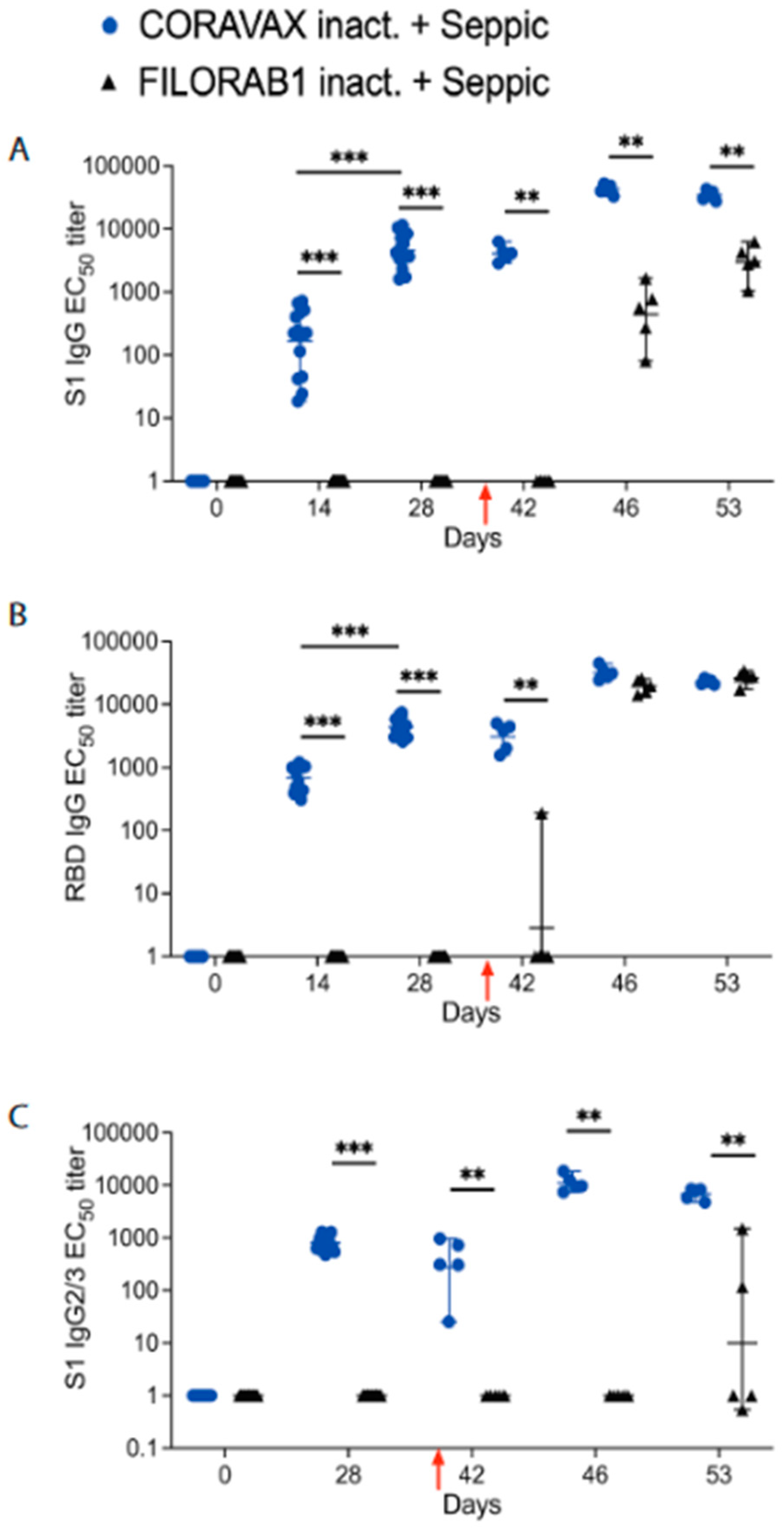 Viruses 14 01126 g002