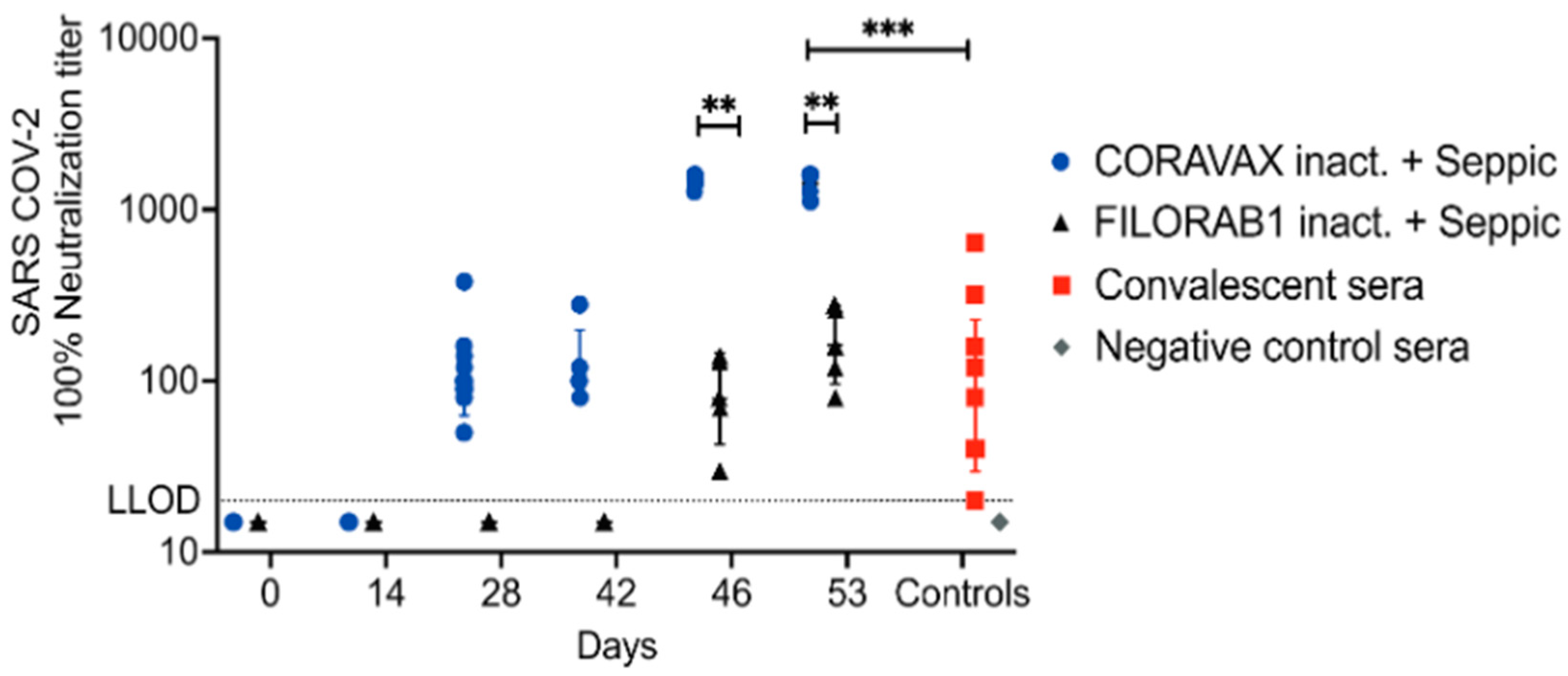 Viruses 14 01126 g003