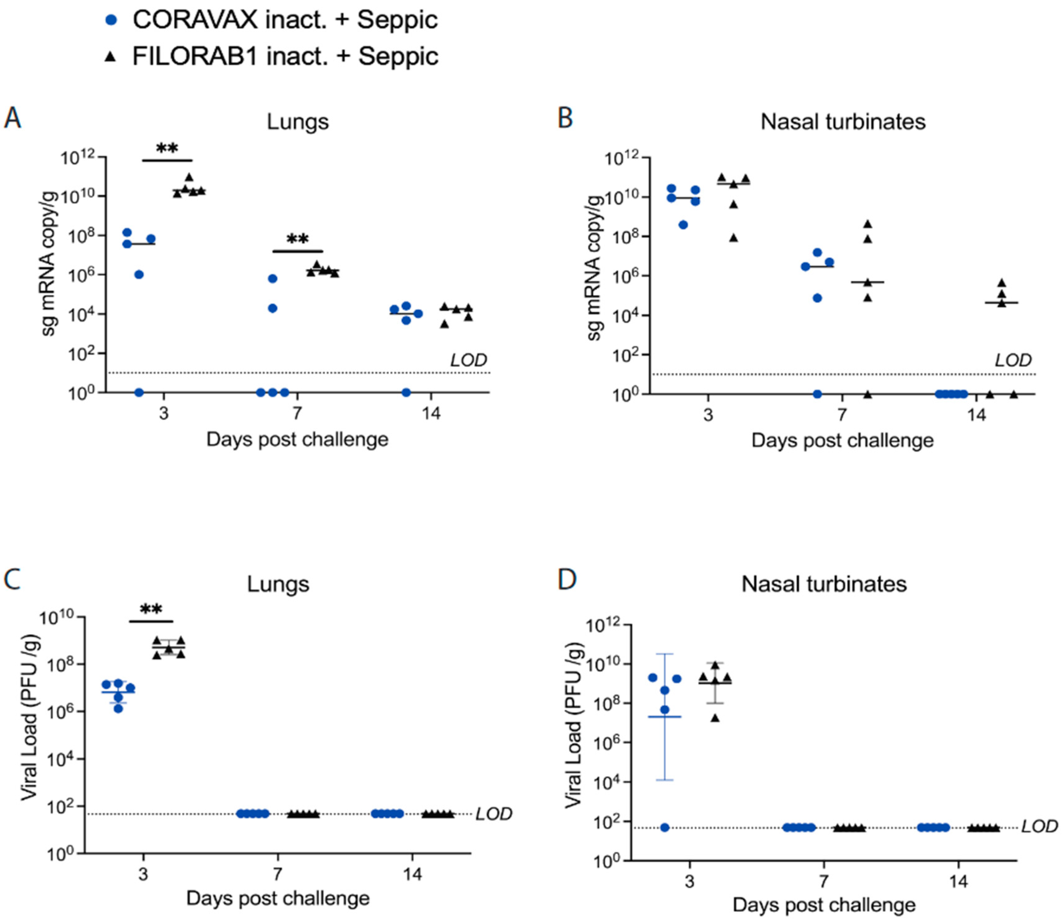 Viruses 14 01126 g005