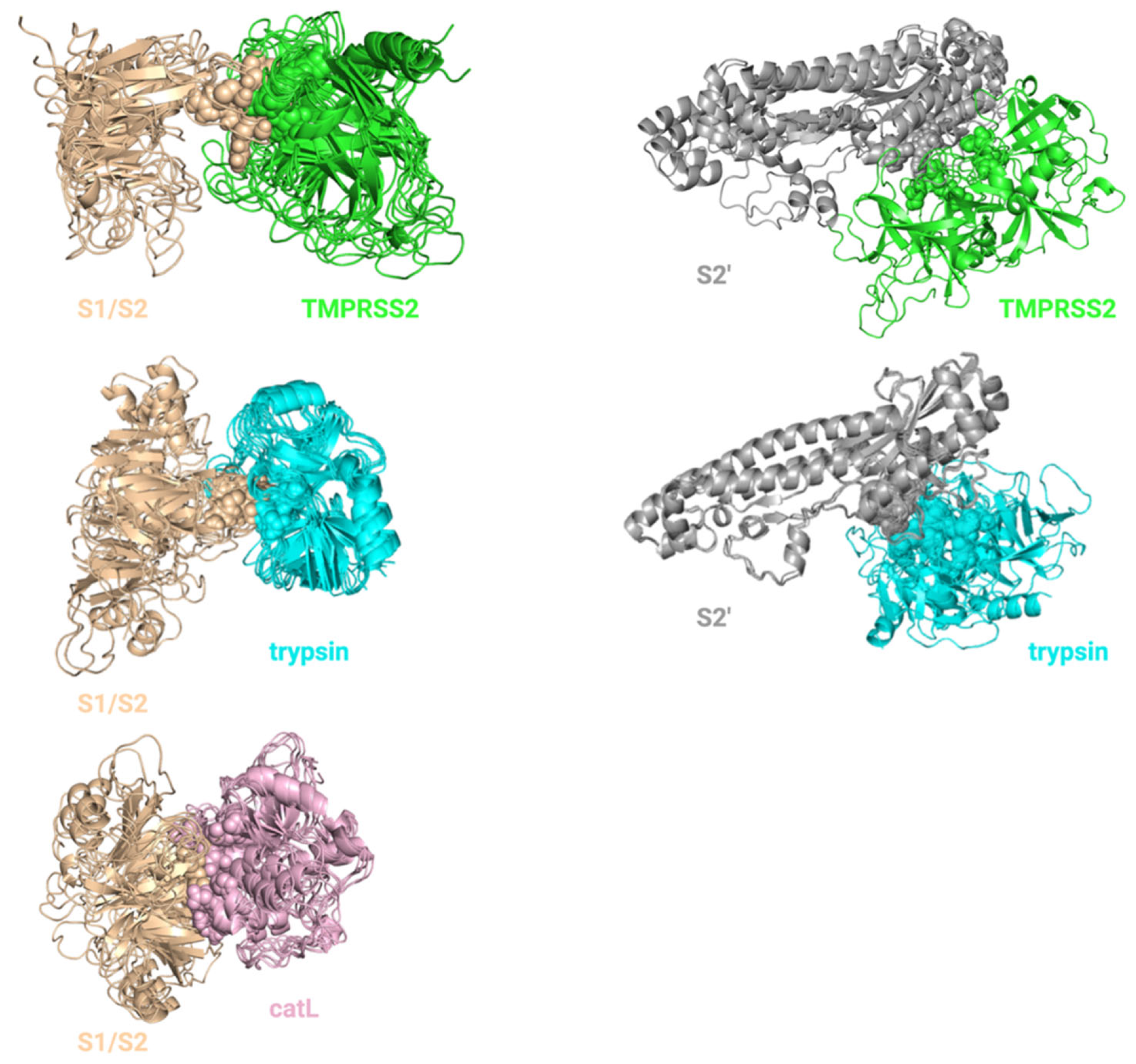 Viruses 14 01129 g003 Viruses 14 01129 g003