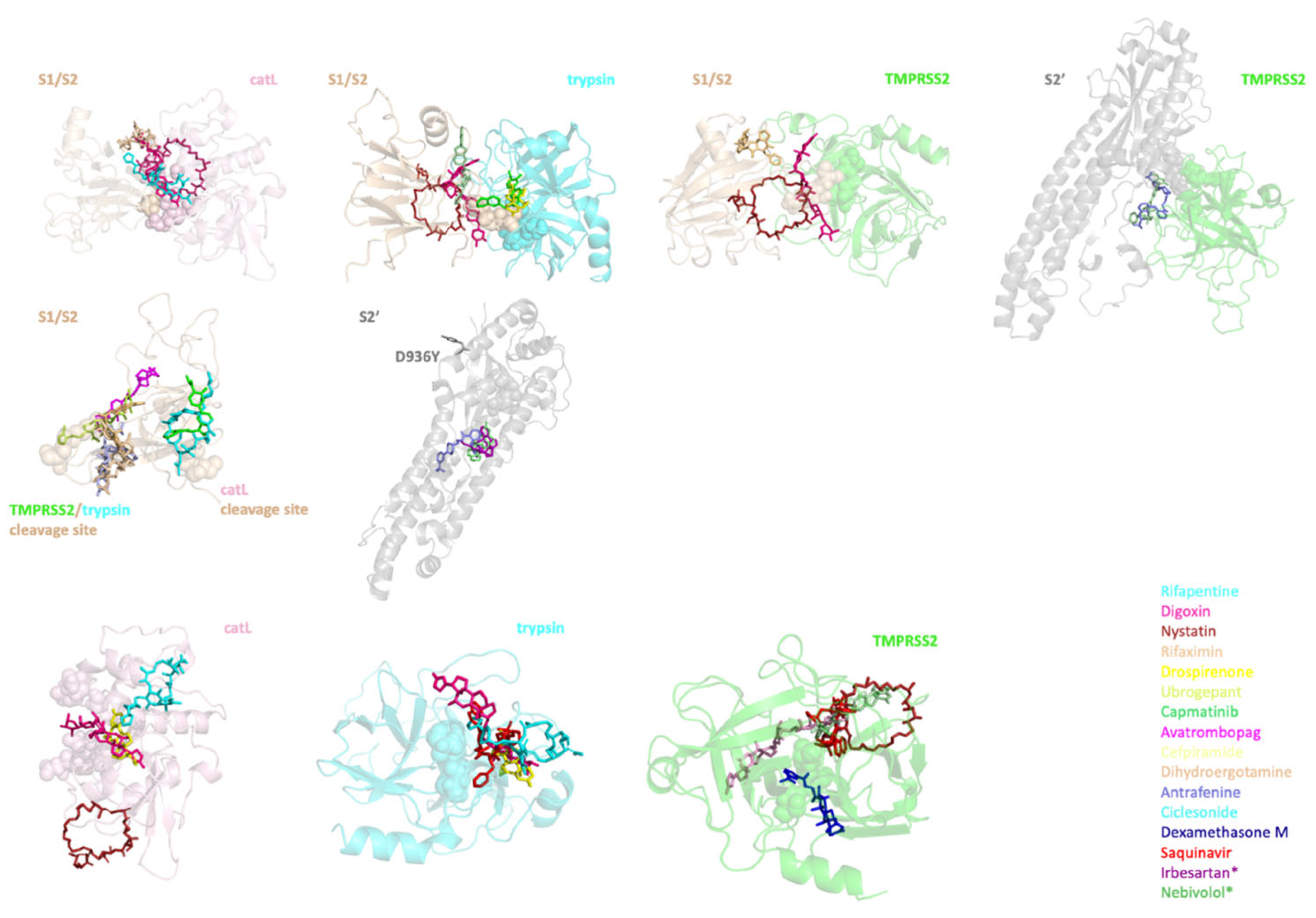 Viruses 14 01129 g005 Viruses 14 01129 g005