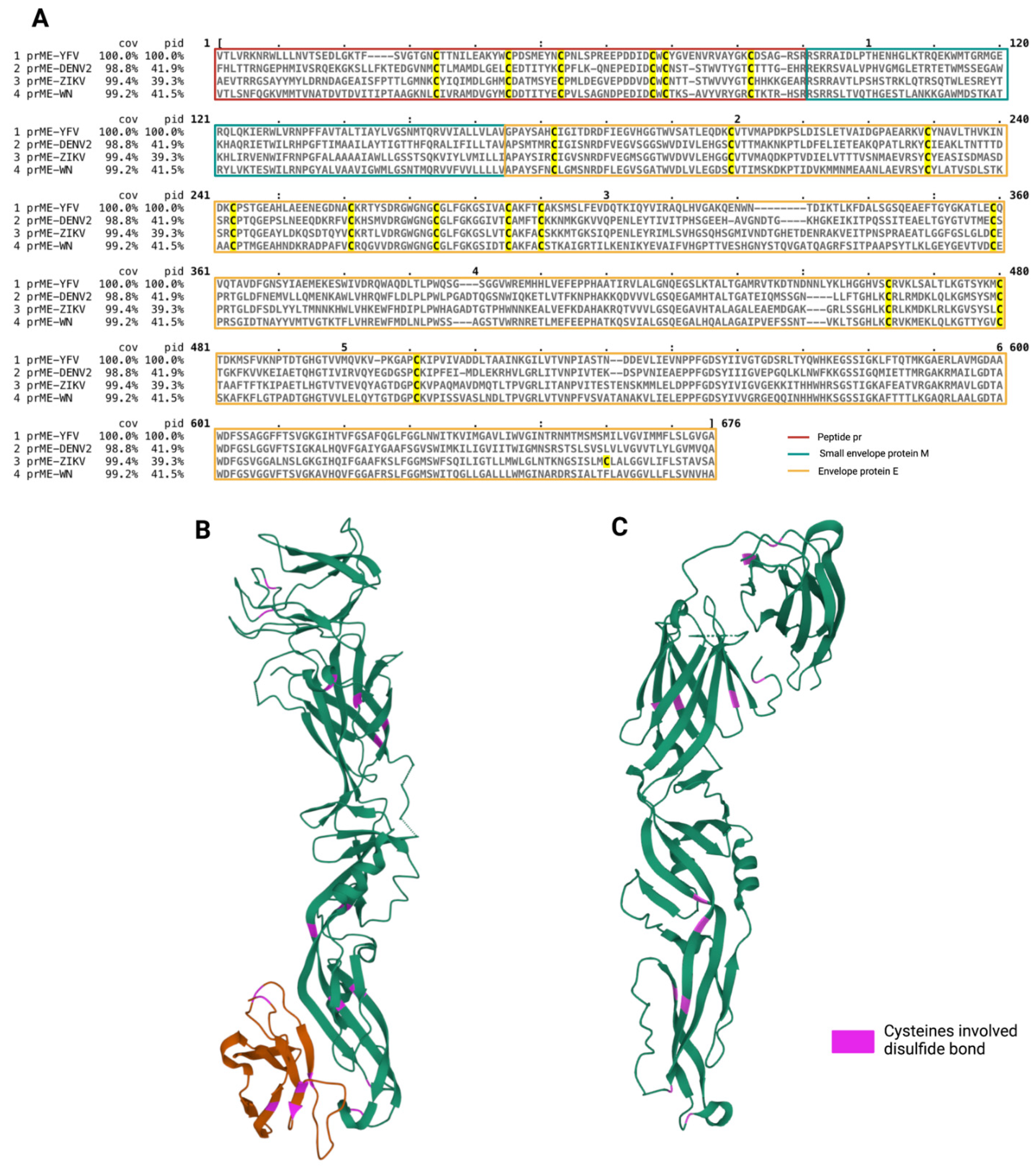Viruses 14 01131 g004