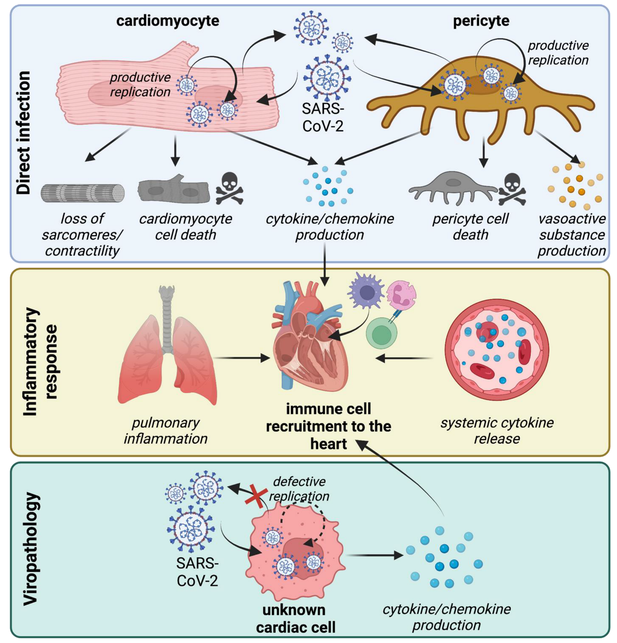 Viruses 14 01137 g002