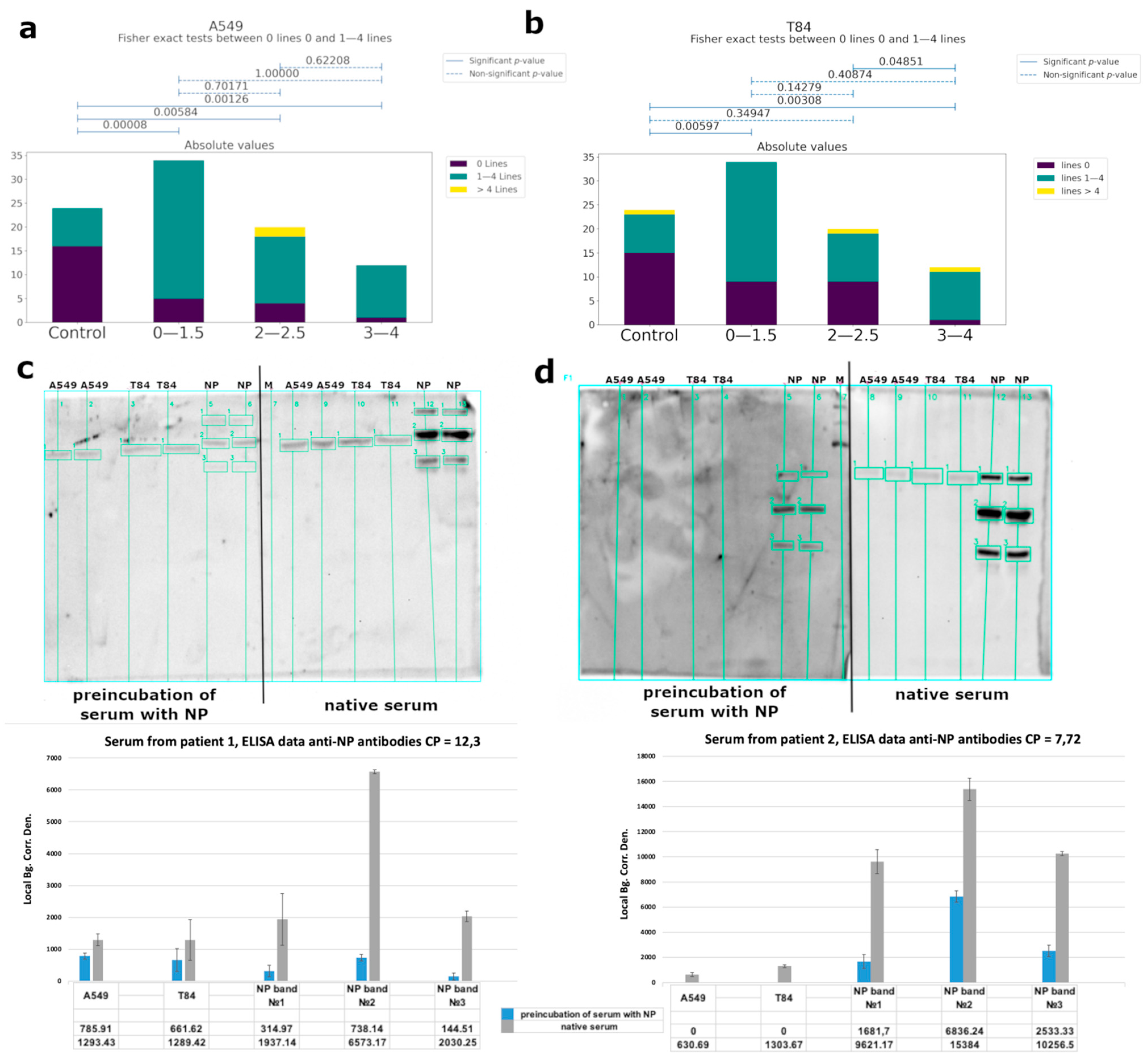 Viruses 14 01141 g005