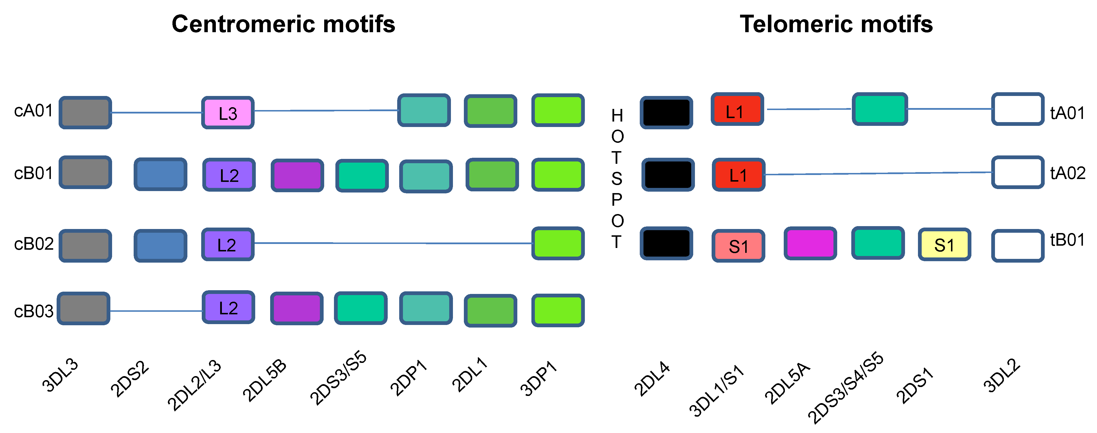 Viruses 14 01143 g001