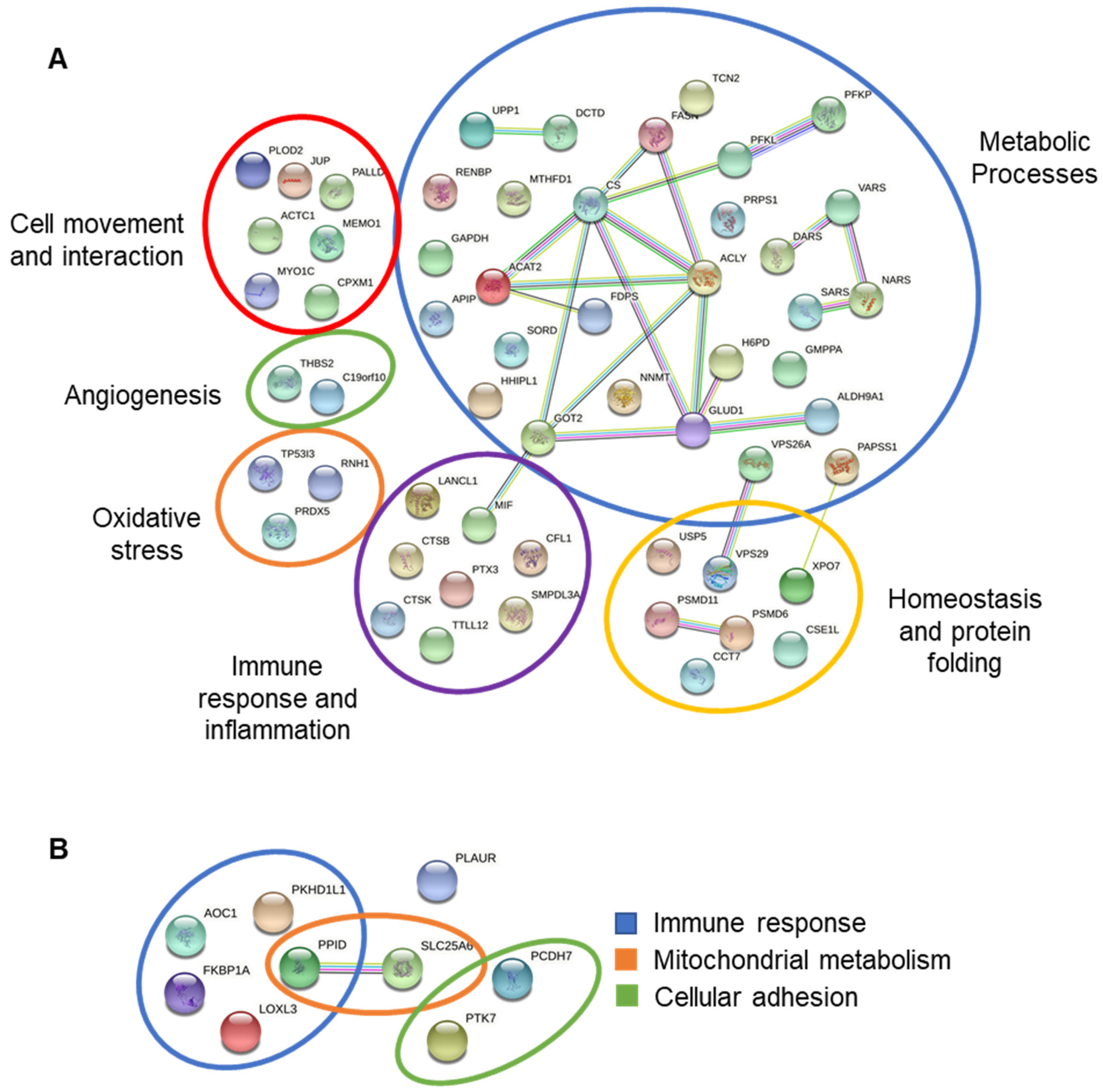 Viruses 14 01146 g005
