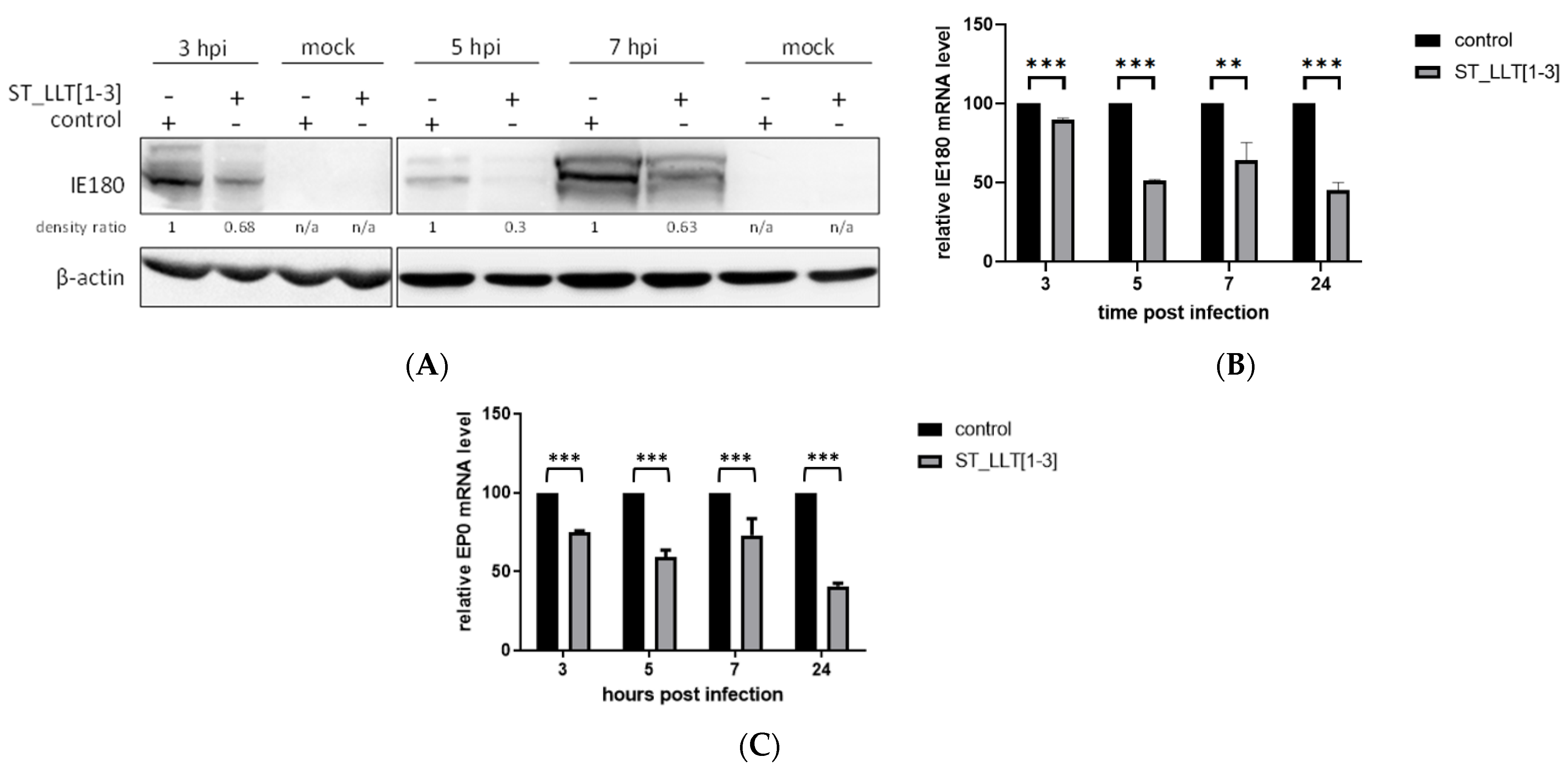 Viruses 14 01147 g003
