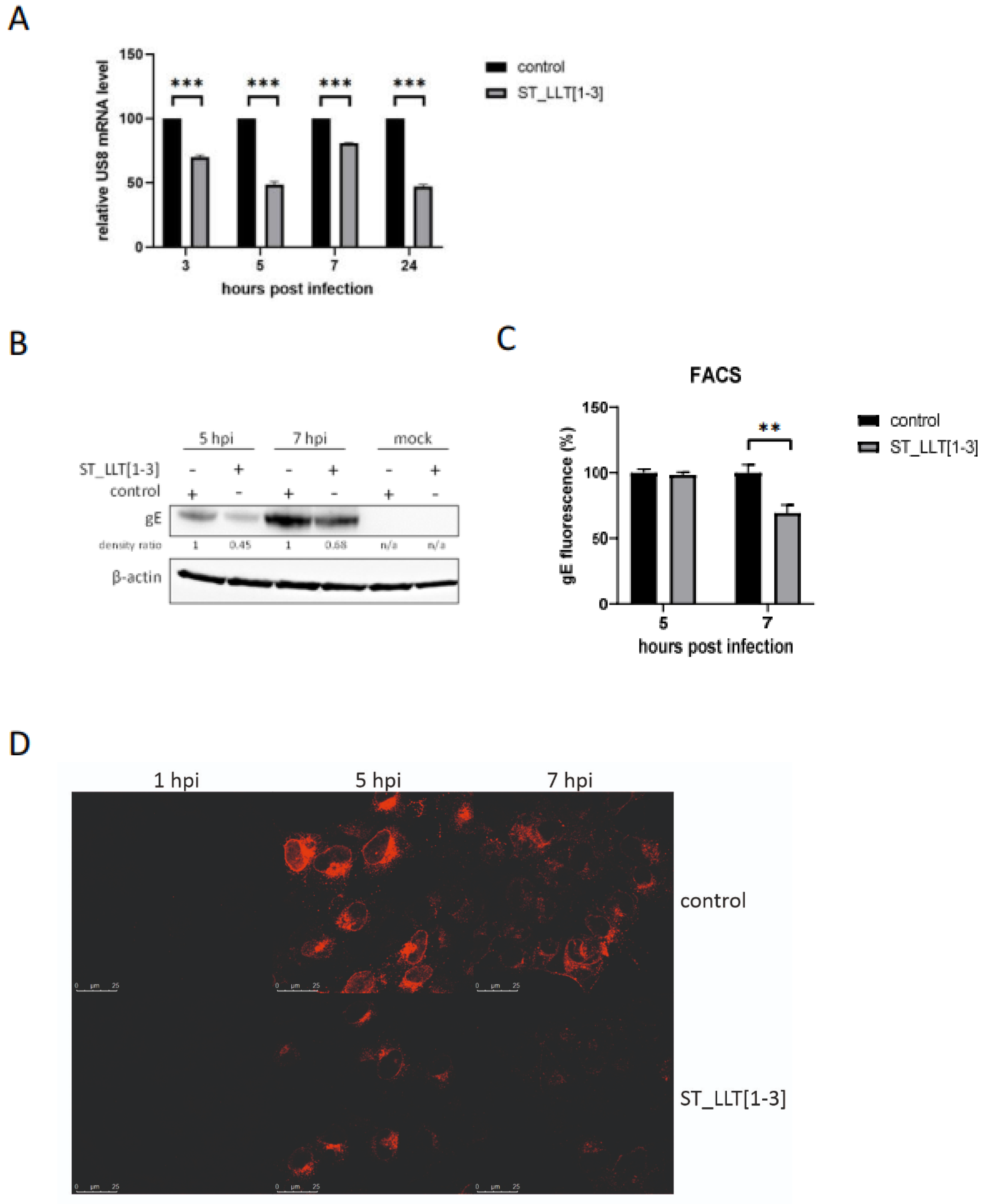 Viruses 14 01147 g004