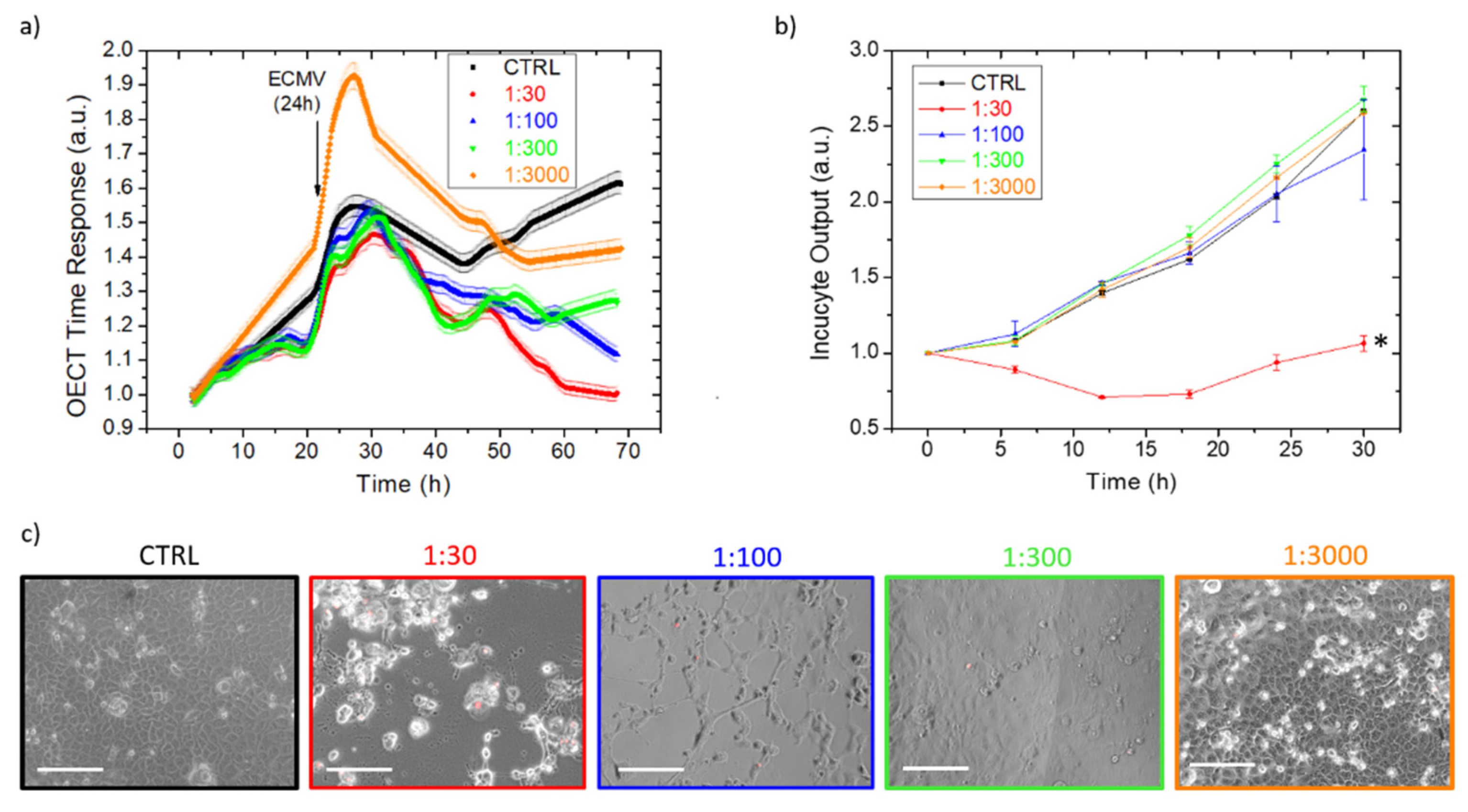 Viruses 14 01155 g004