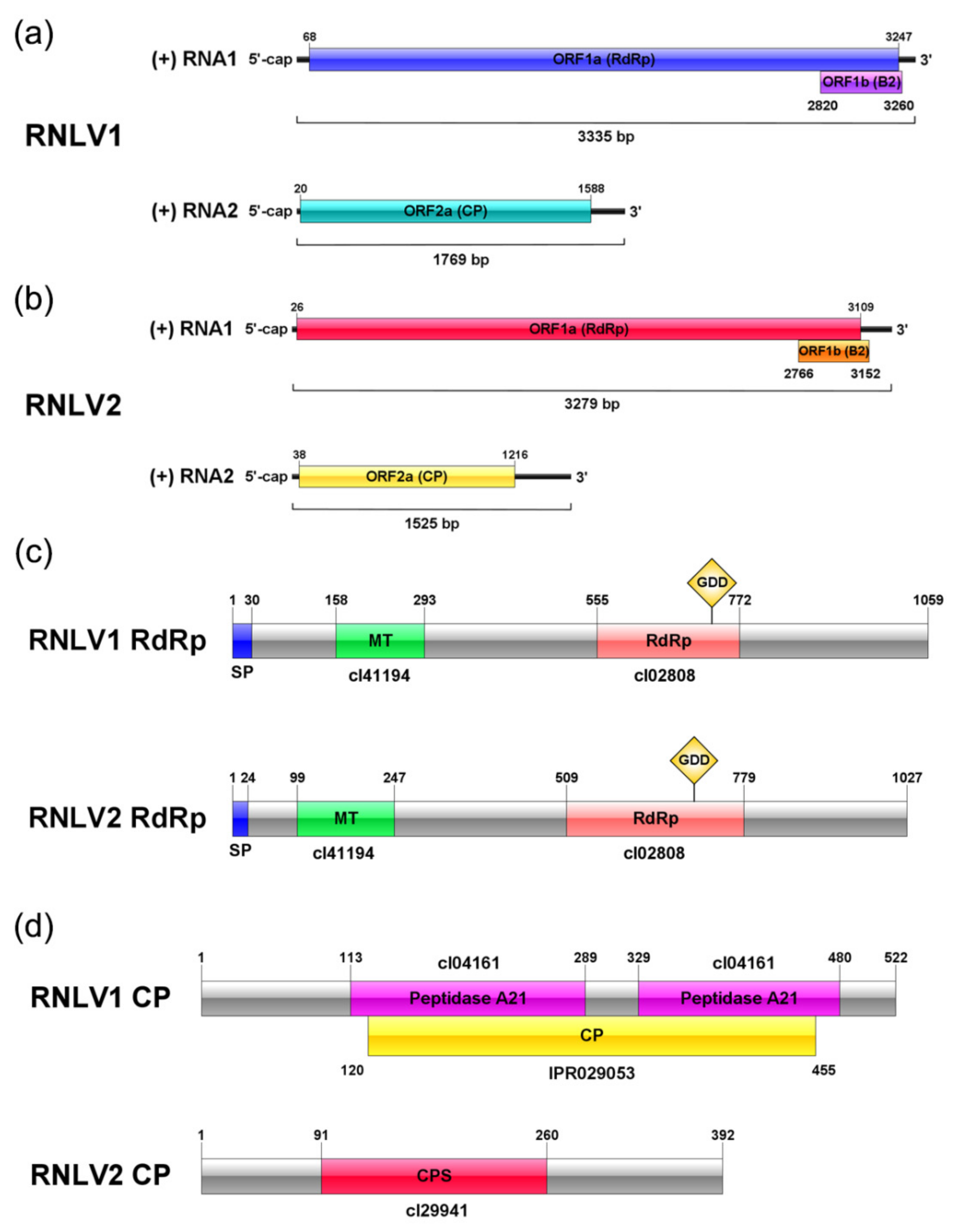 Viruses 14 01159 g002