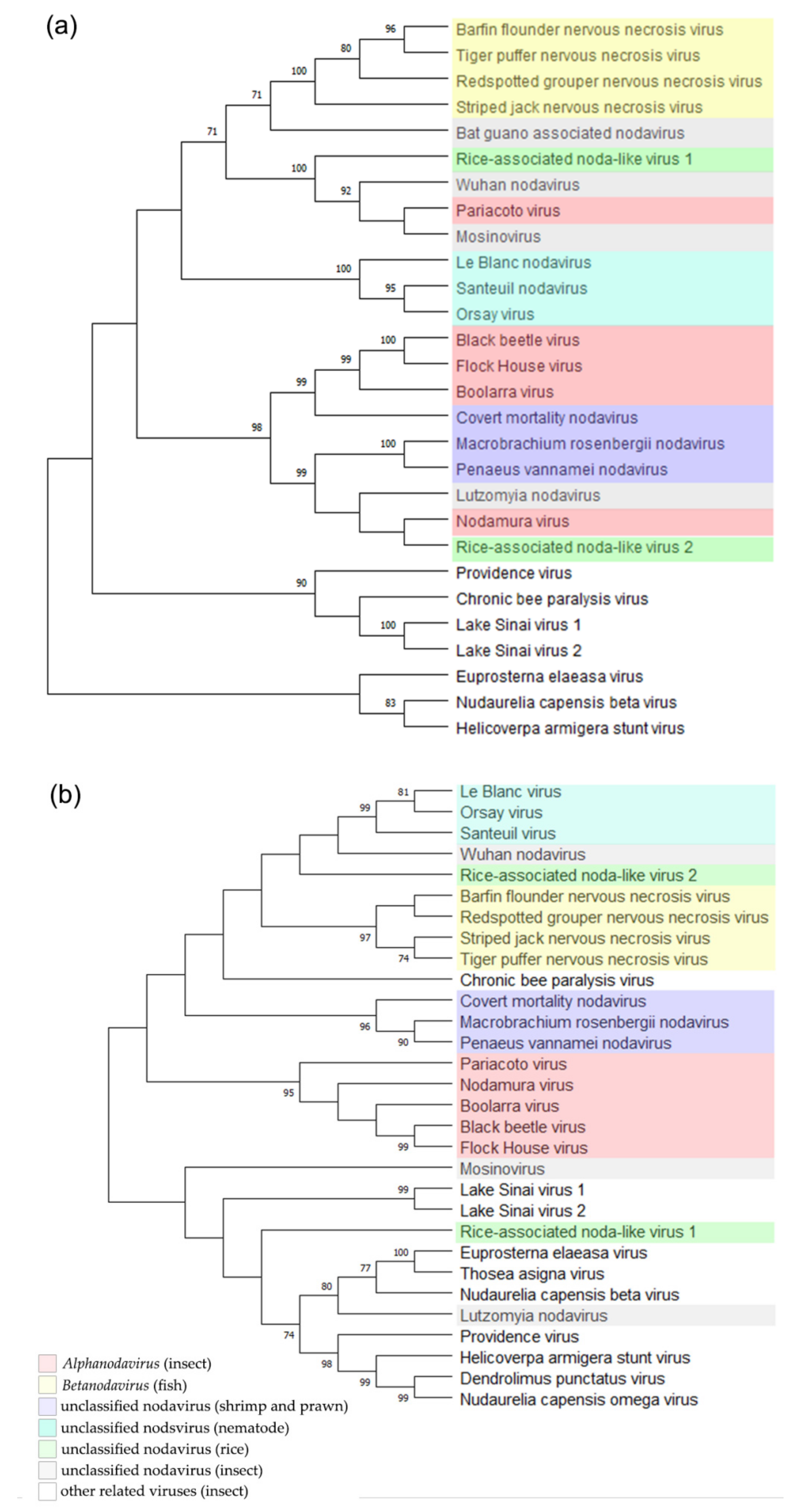 Viruses 14 01159 g003