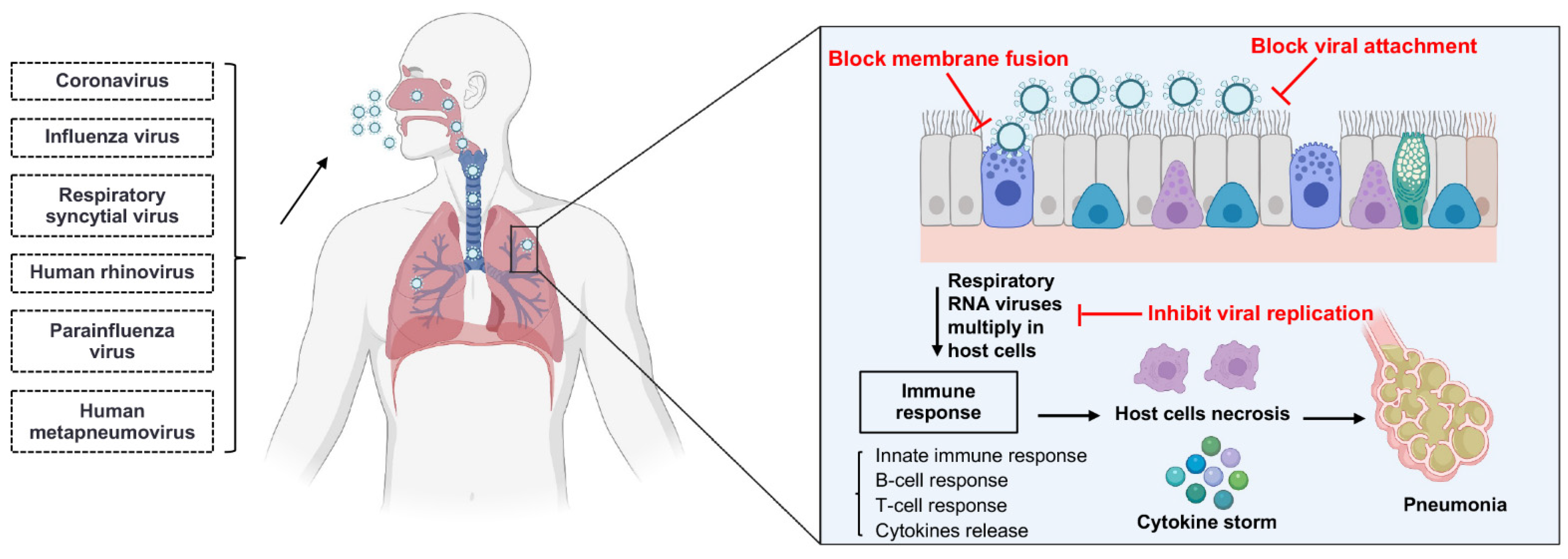 Viruses 14 01162 g002