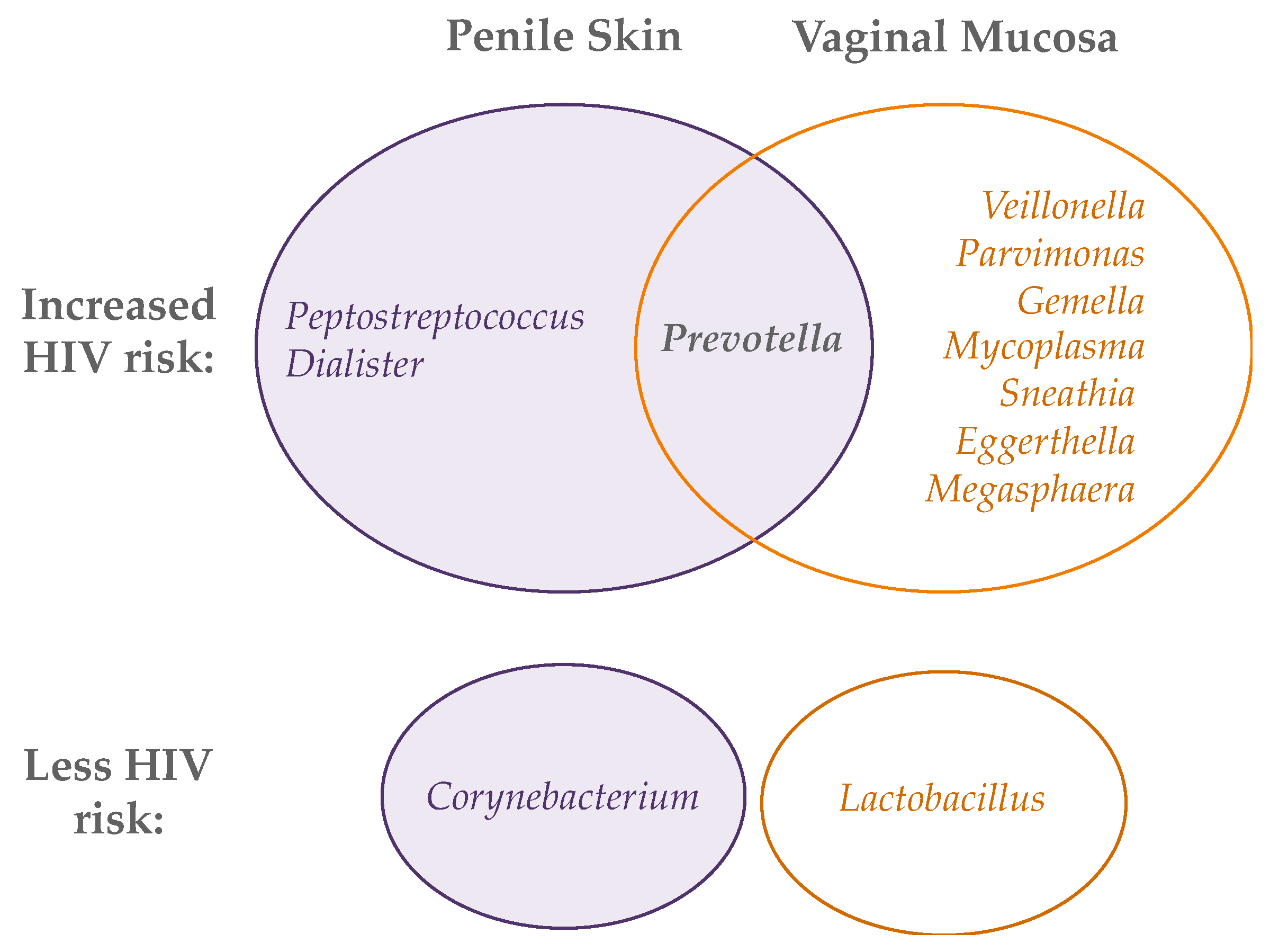 Viruses 14 01164 g002 Viruses 14 01164 g002