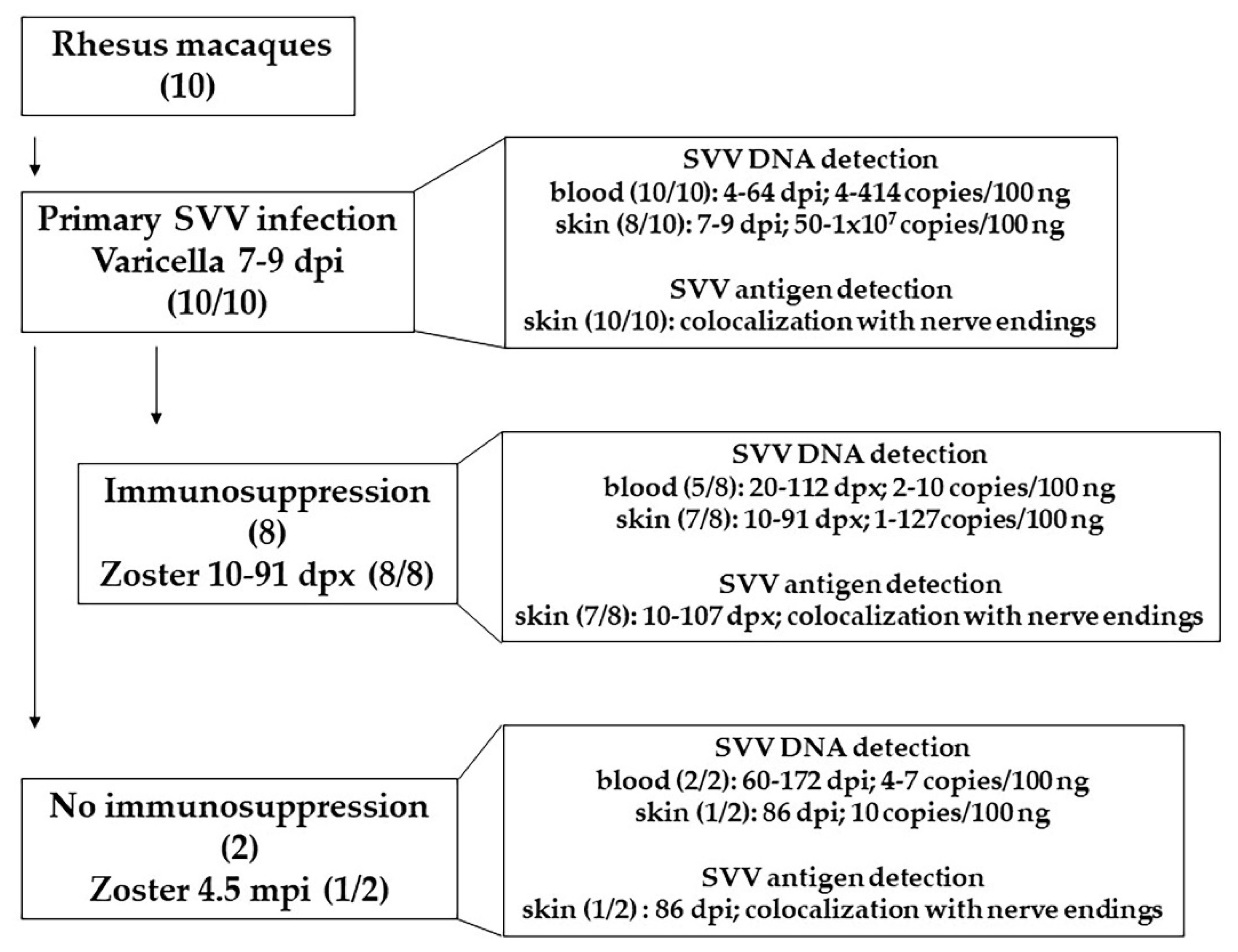 Viruses 14 01167 g005