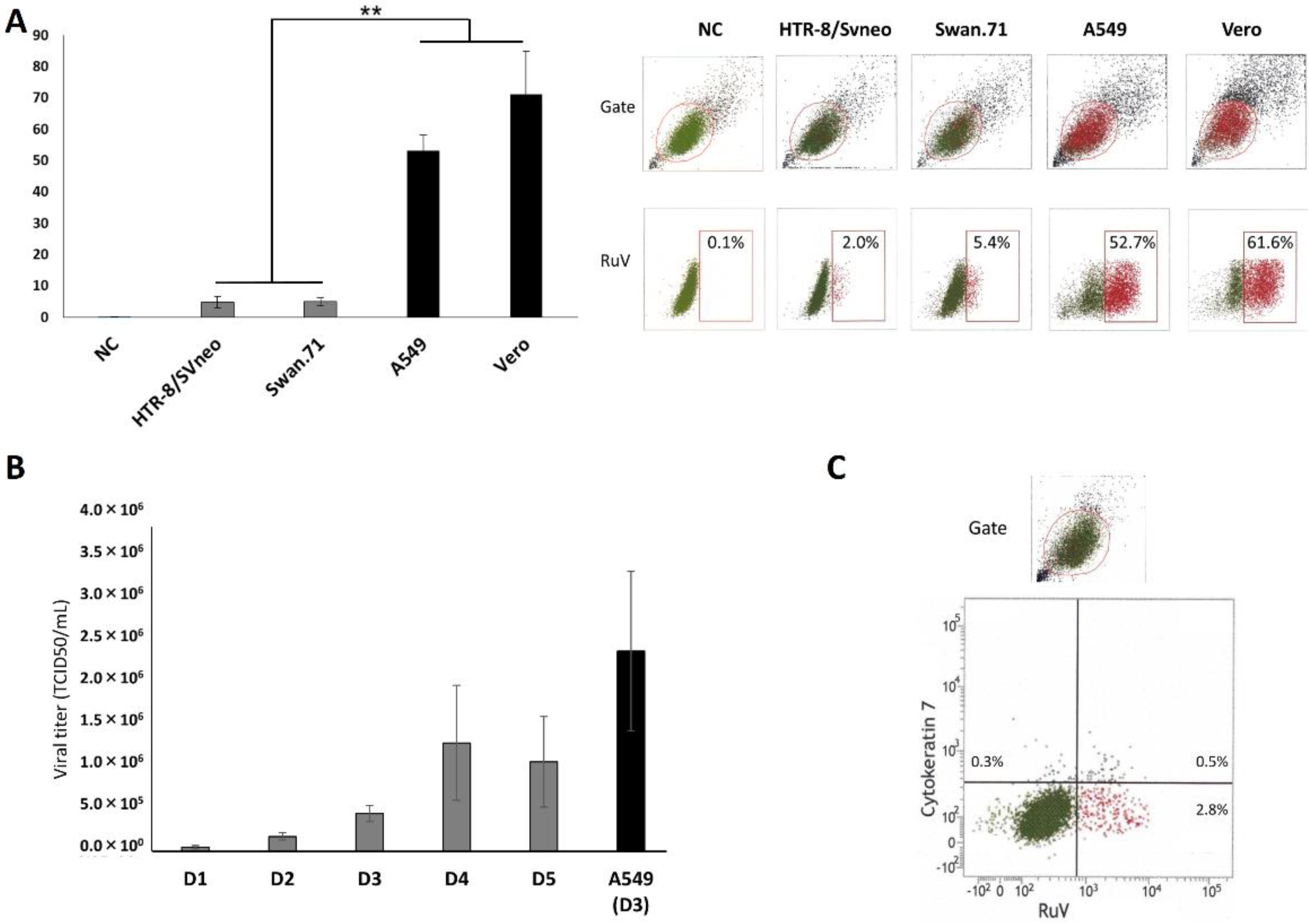 Viruses 14 01169 g002