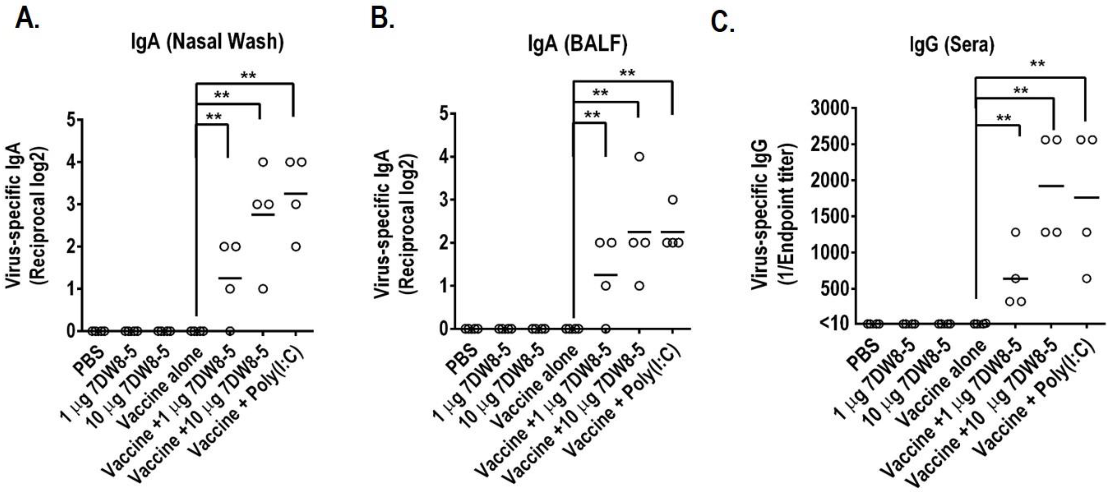 Viruses 14 01174 g001