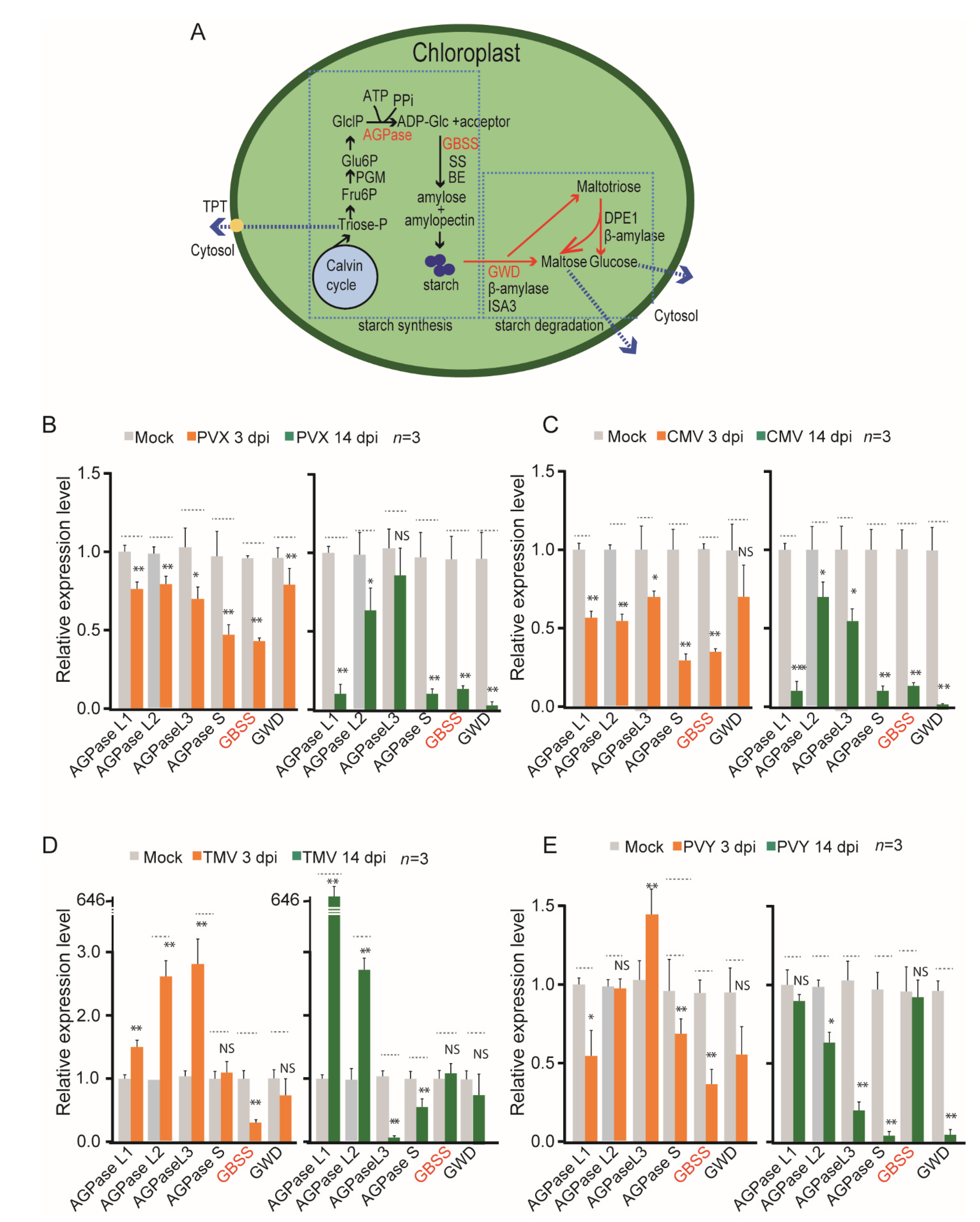 Viruses 14 01176 g004