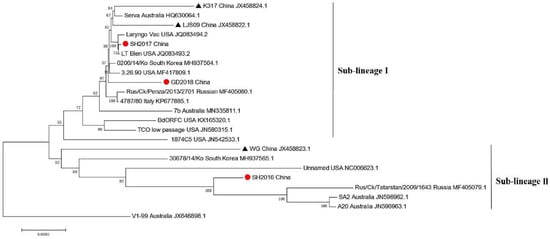 Viruses 14 01200 g0a2