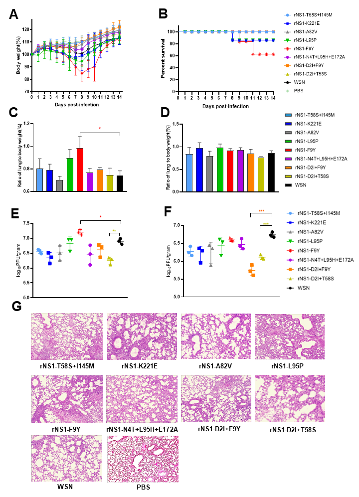 Viruses 14 01206 g003