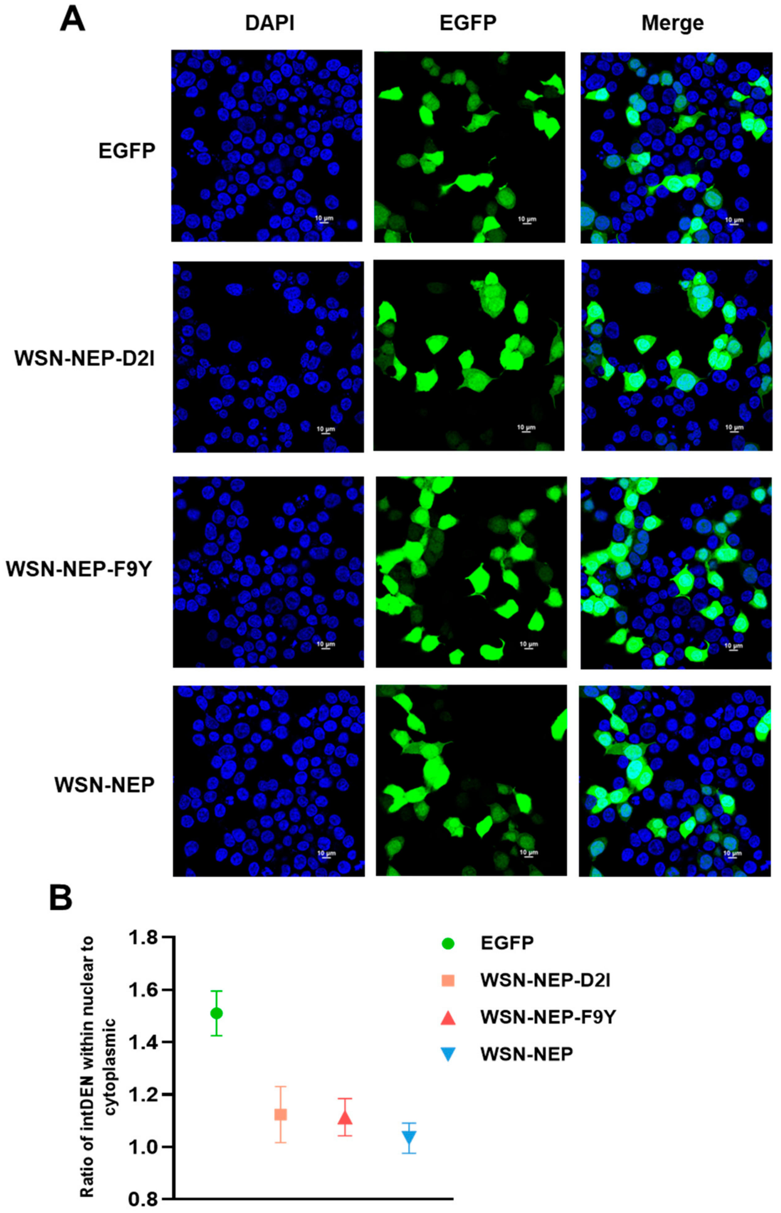 Viruses 14 01206 g008