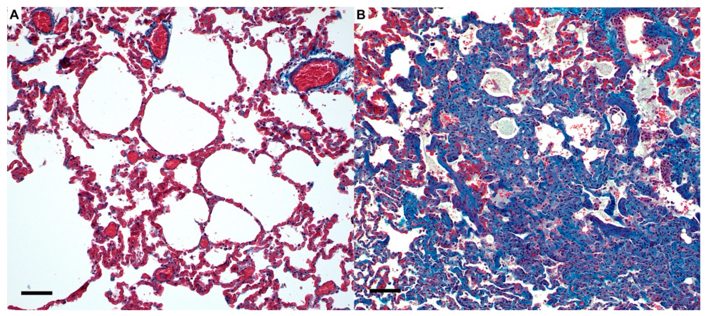 Viruses 14 01207 g003