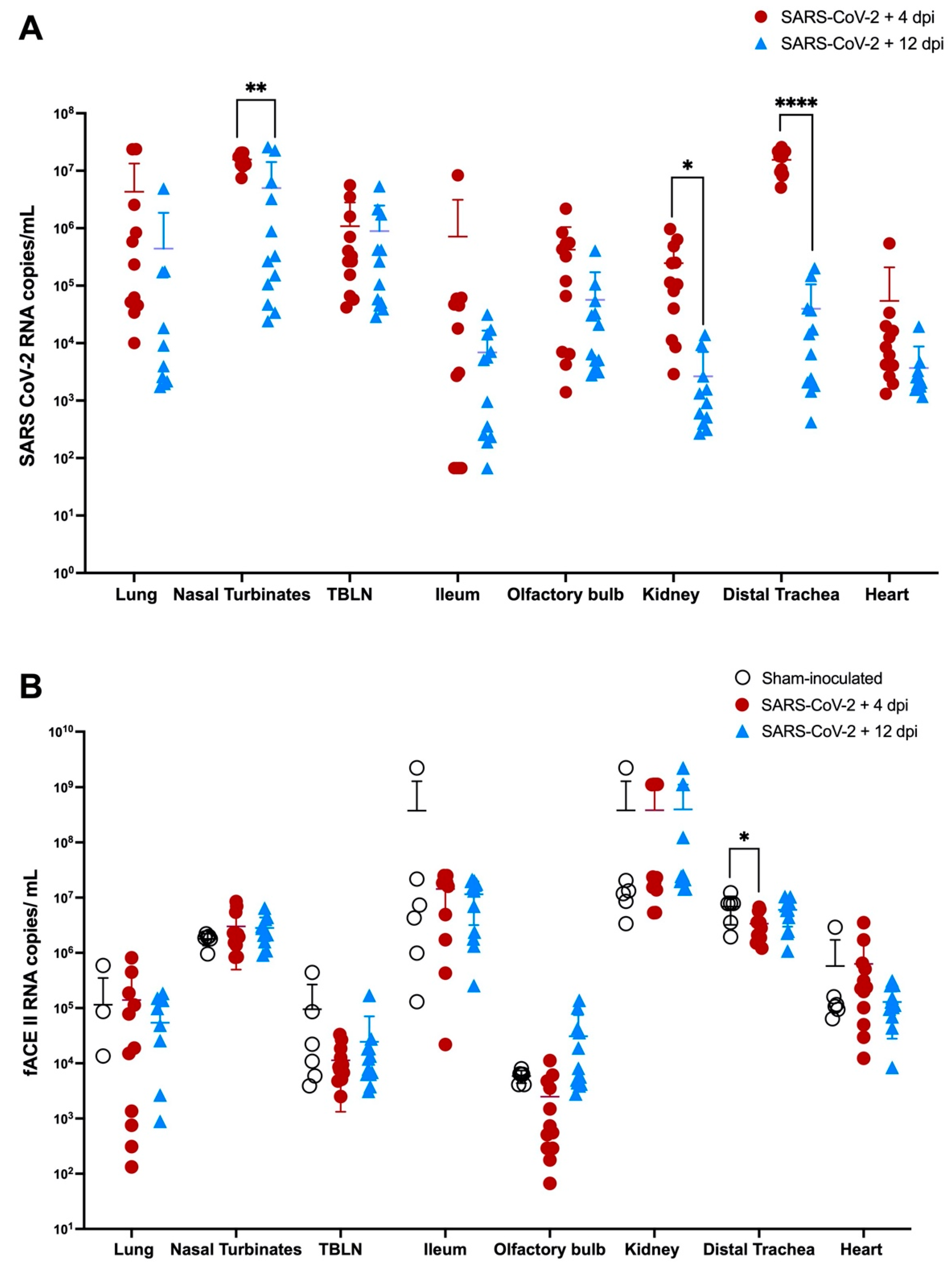 Viruses 14 01207 g006