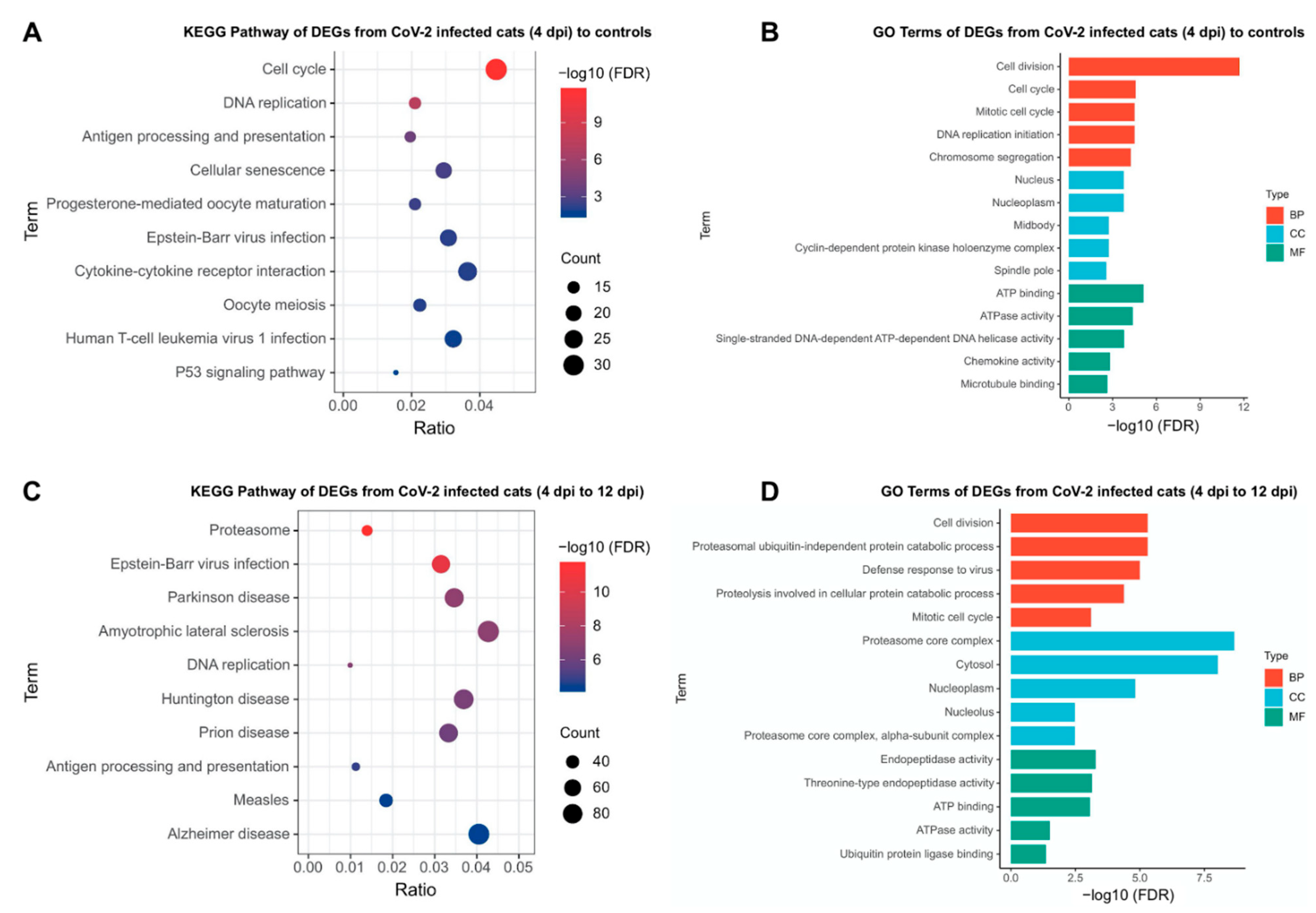 Viruses 14 01207 g007