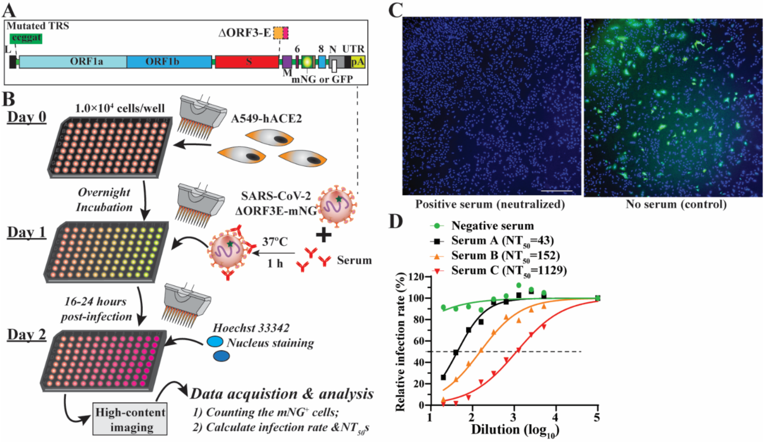 Viruses 14 01211 g001