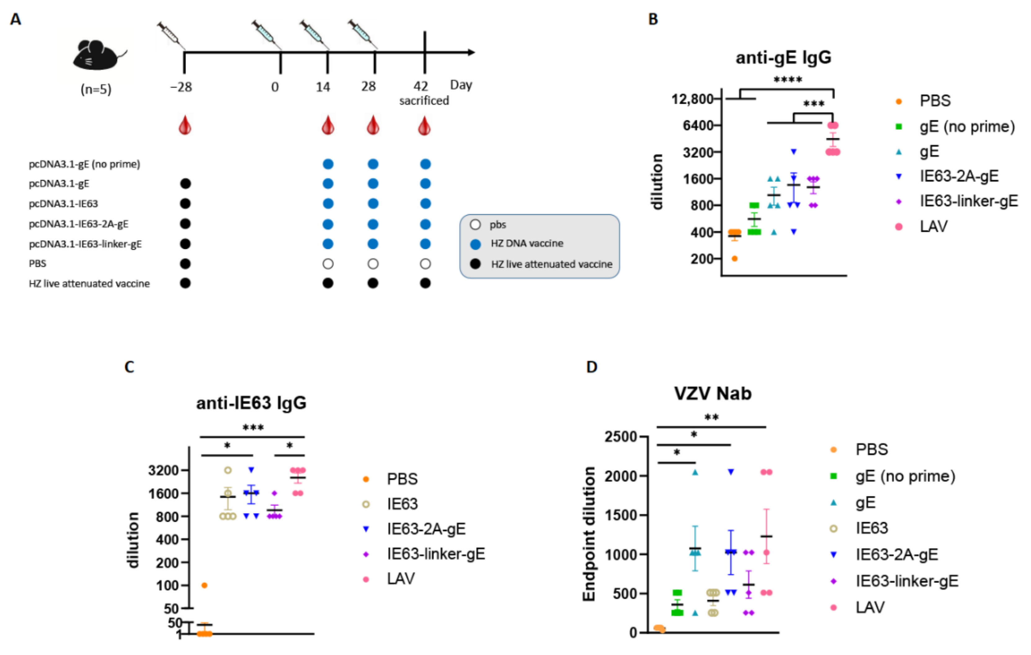 Viruses 14 01214 g002