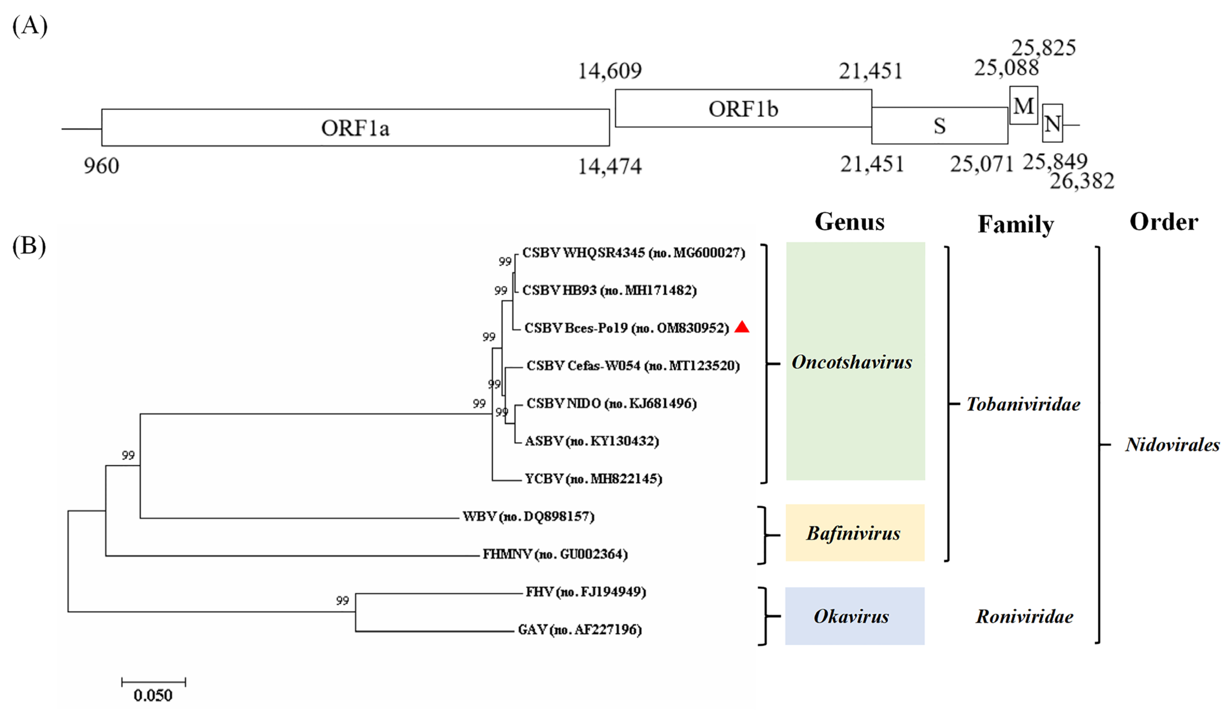 Viruses 14 01216 g003