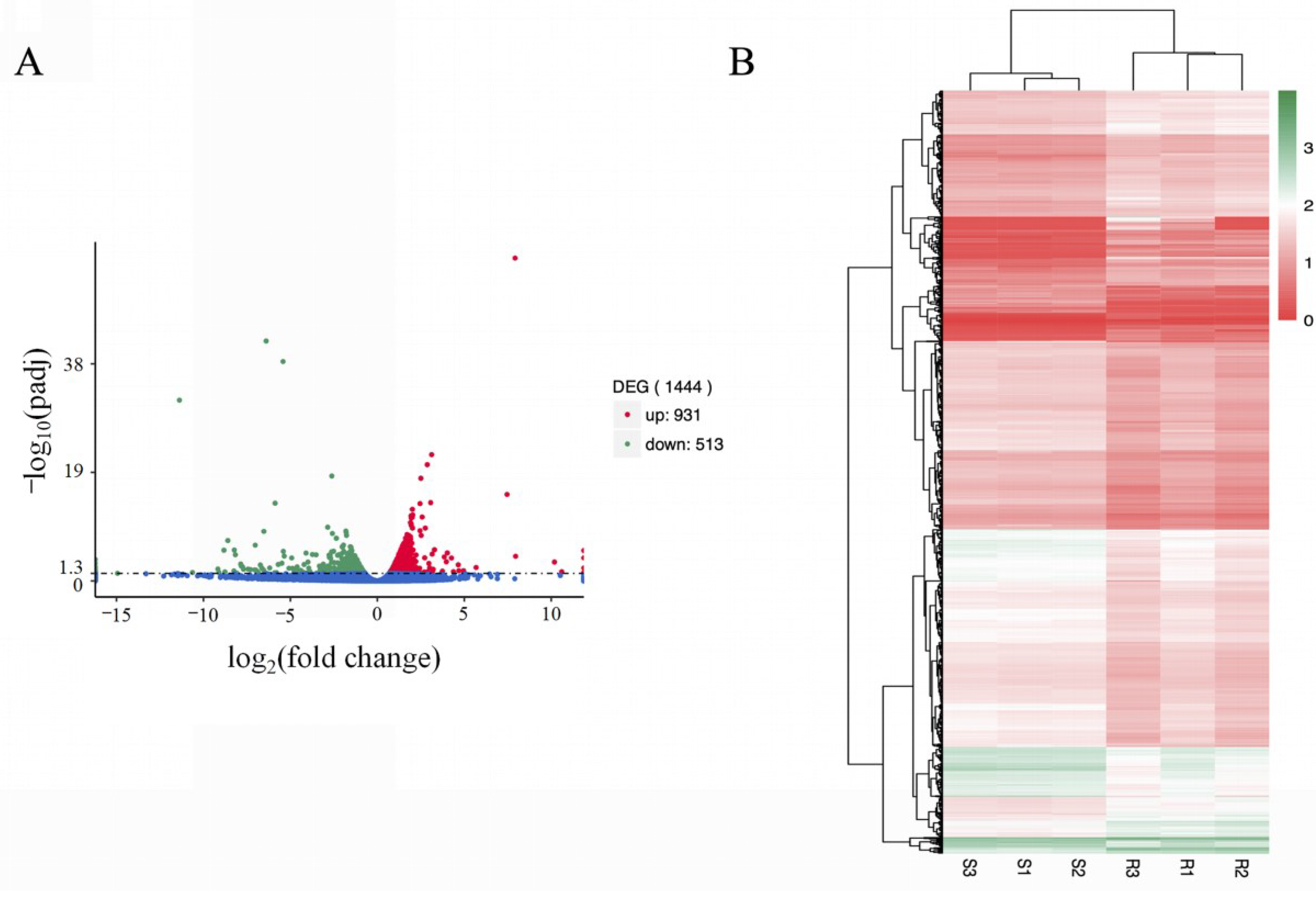 Viruses 14 01216 g007