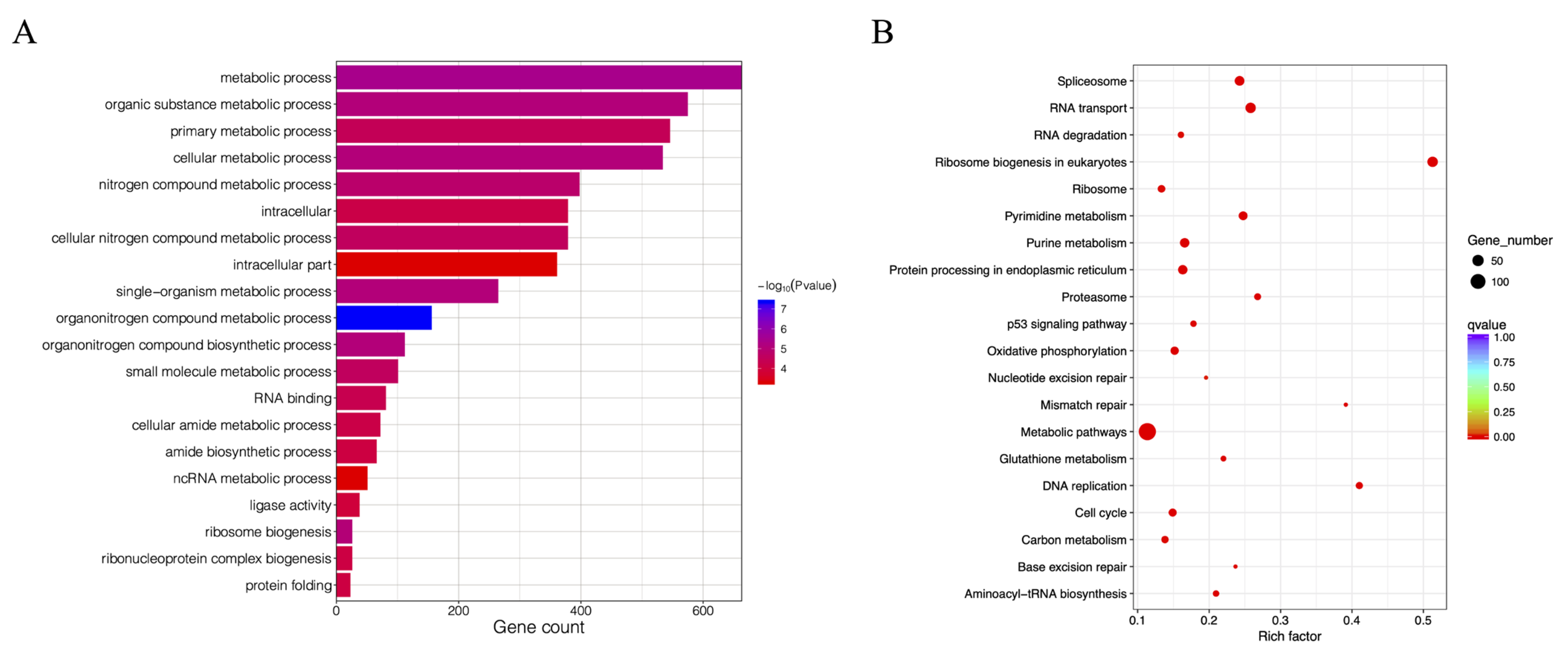 Viruses 14 01216 g008