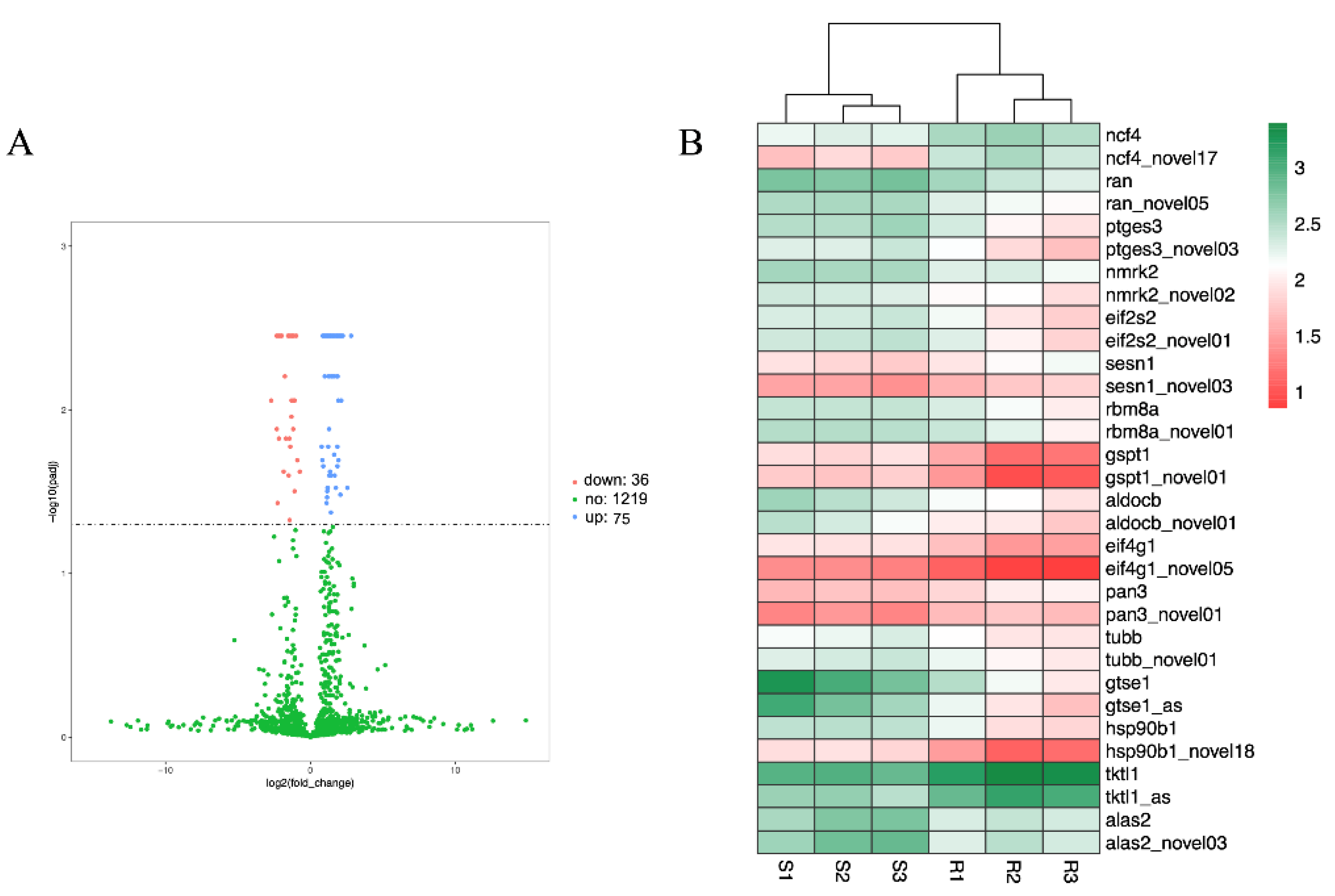 Viruses 14 01216 g010