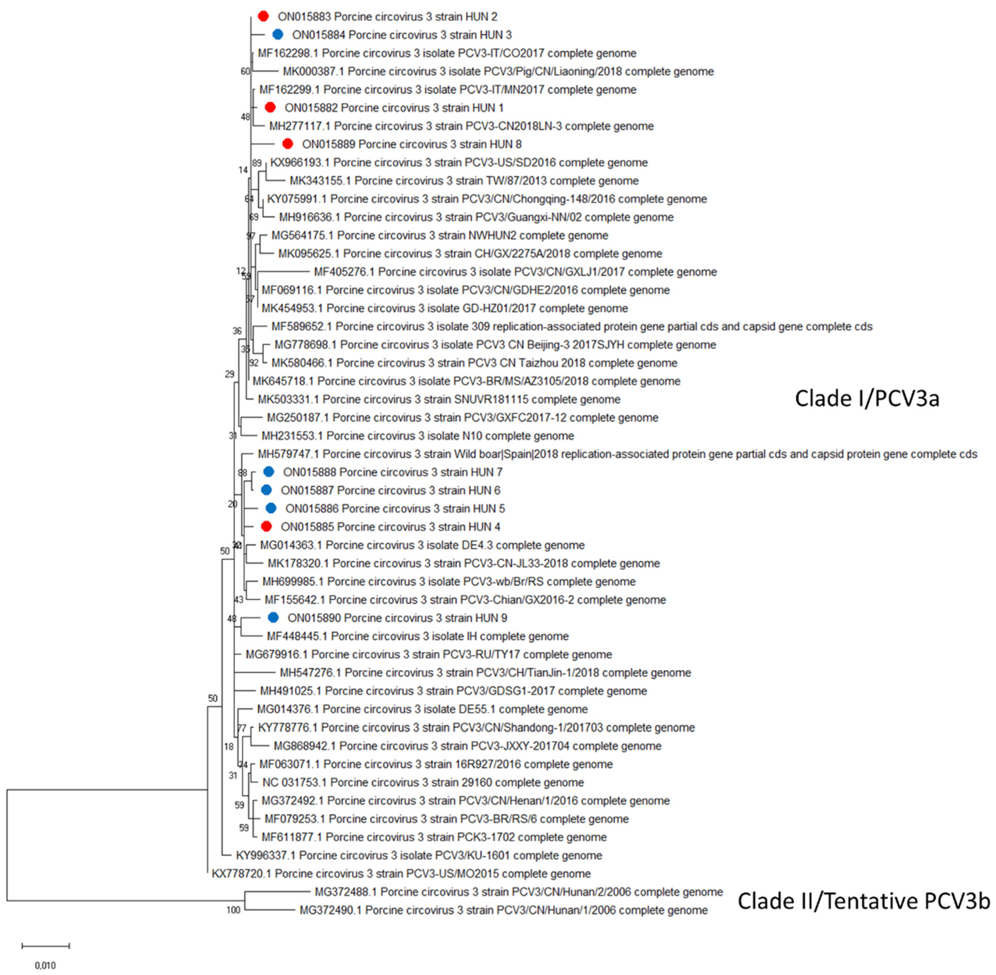 Viruses 14 01219 g006