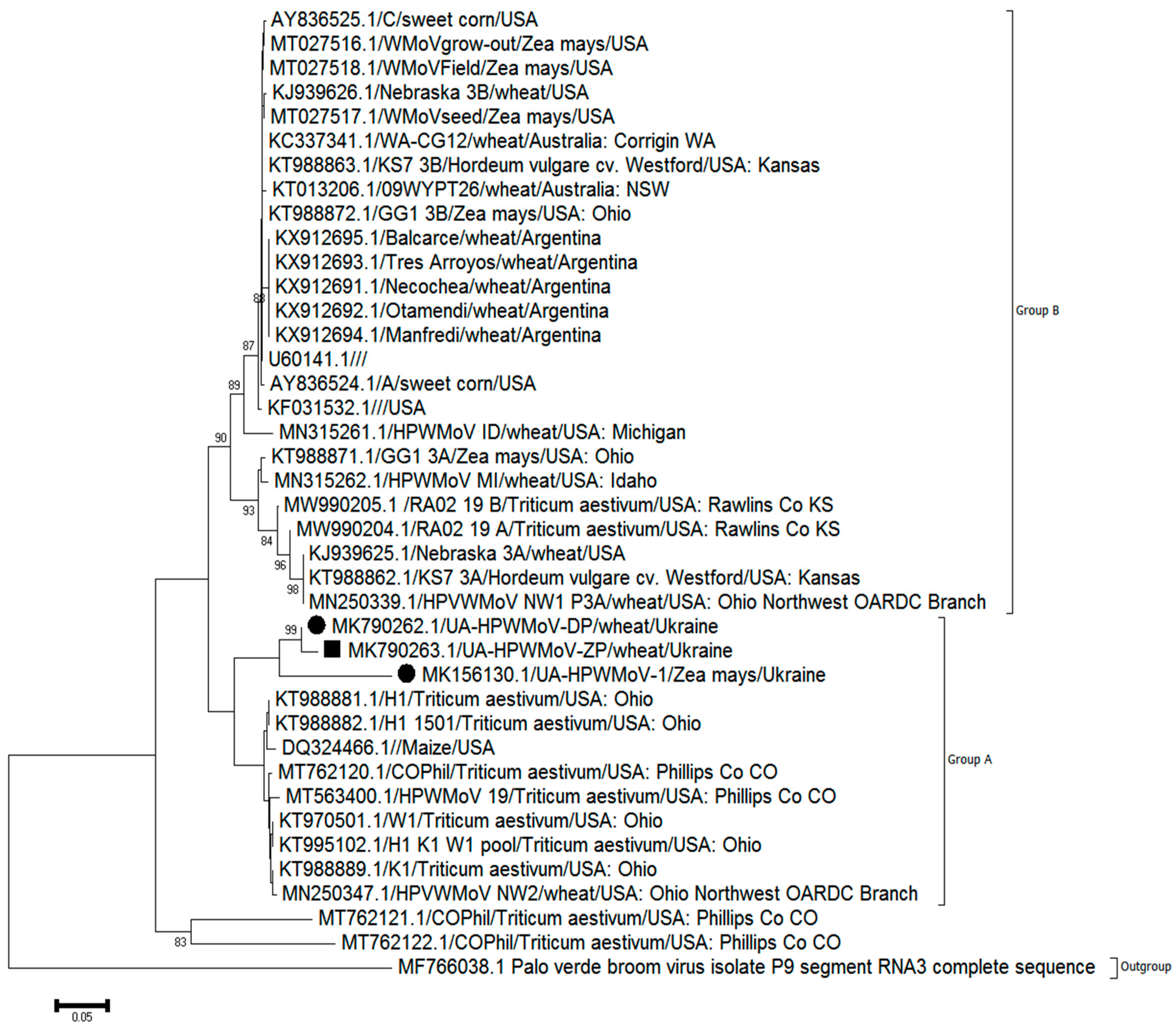 Viruses 14 01220 g006 Viruses 14 01220 g006