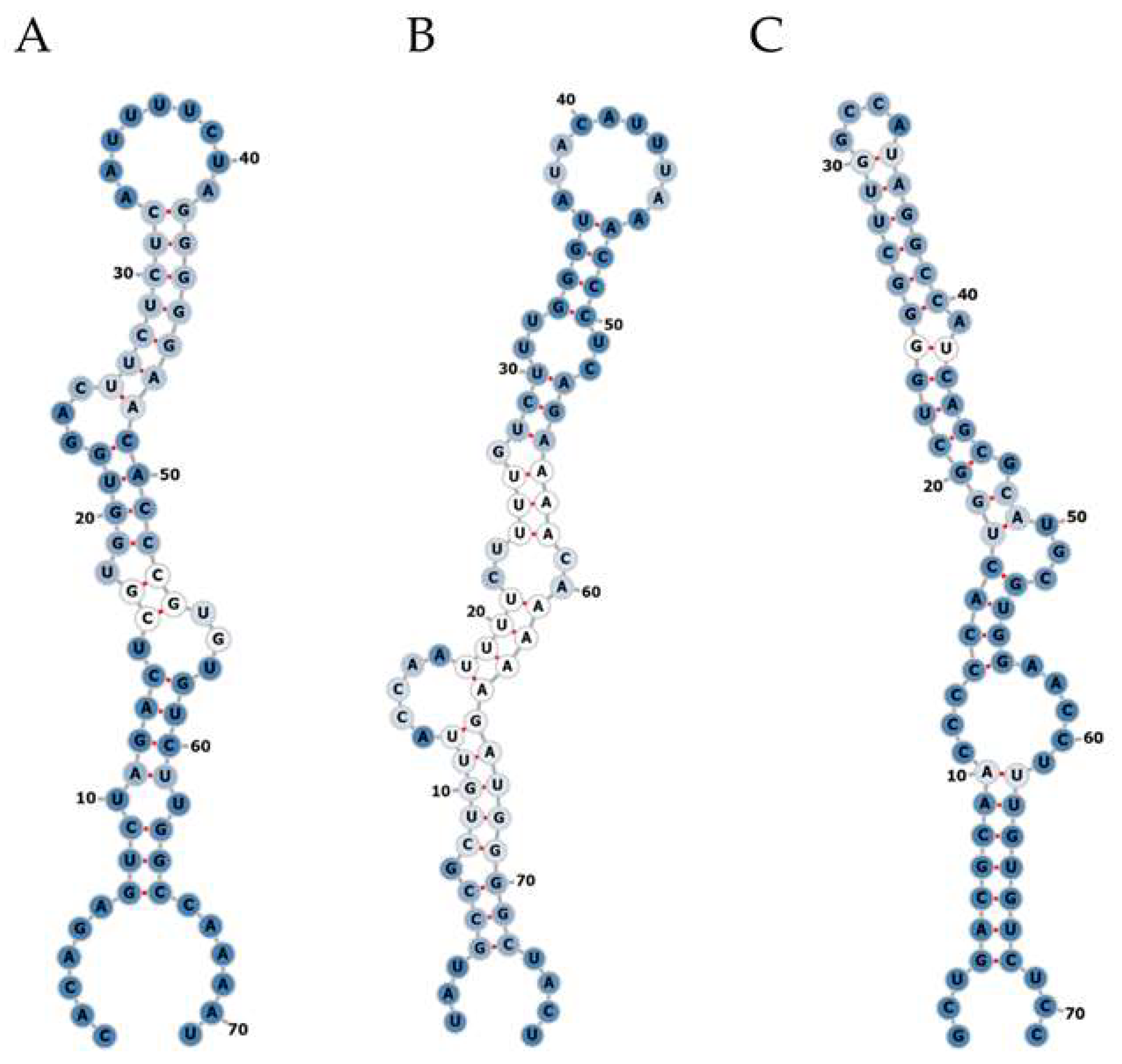 Viruses 14 01223 g001