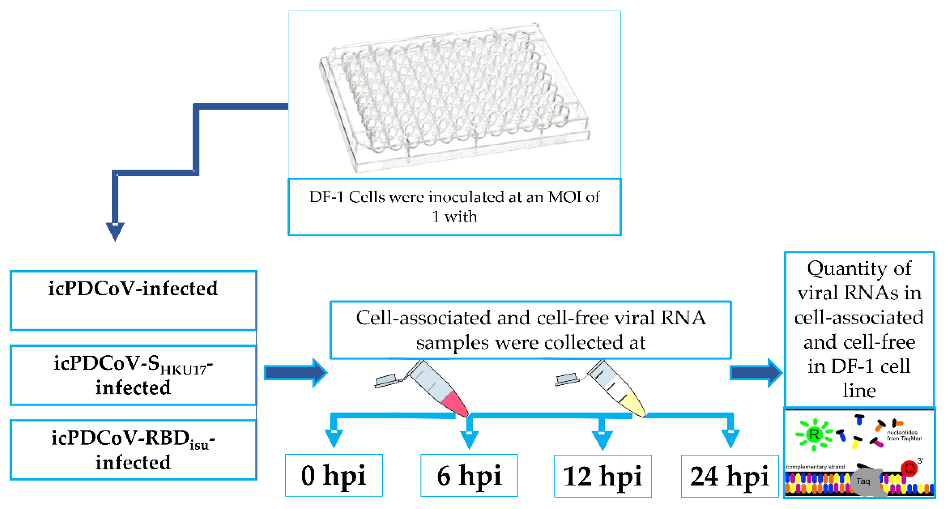 Viruses 14 01225 g001