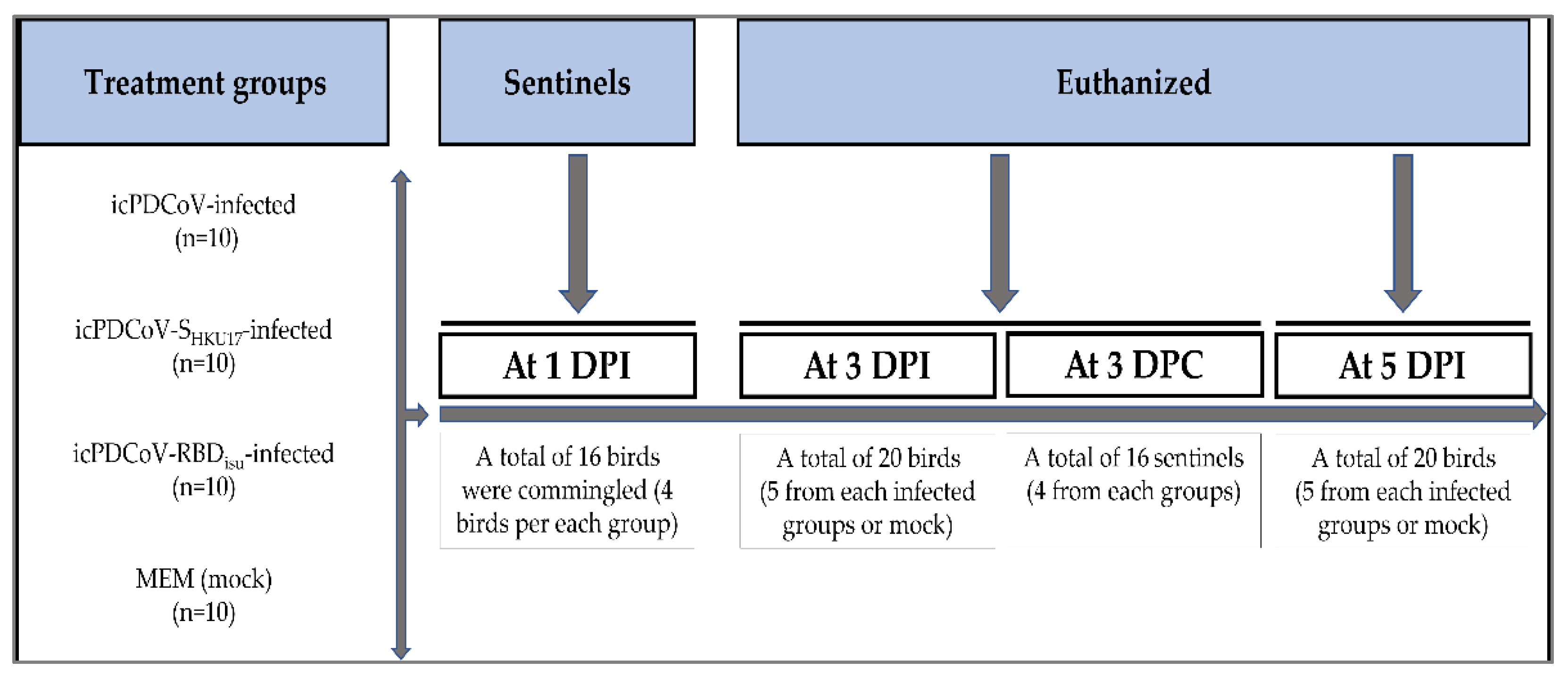 Viruses 14 01225 g002