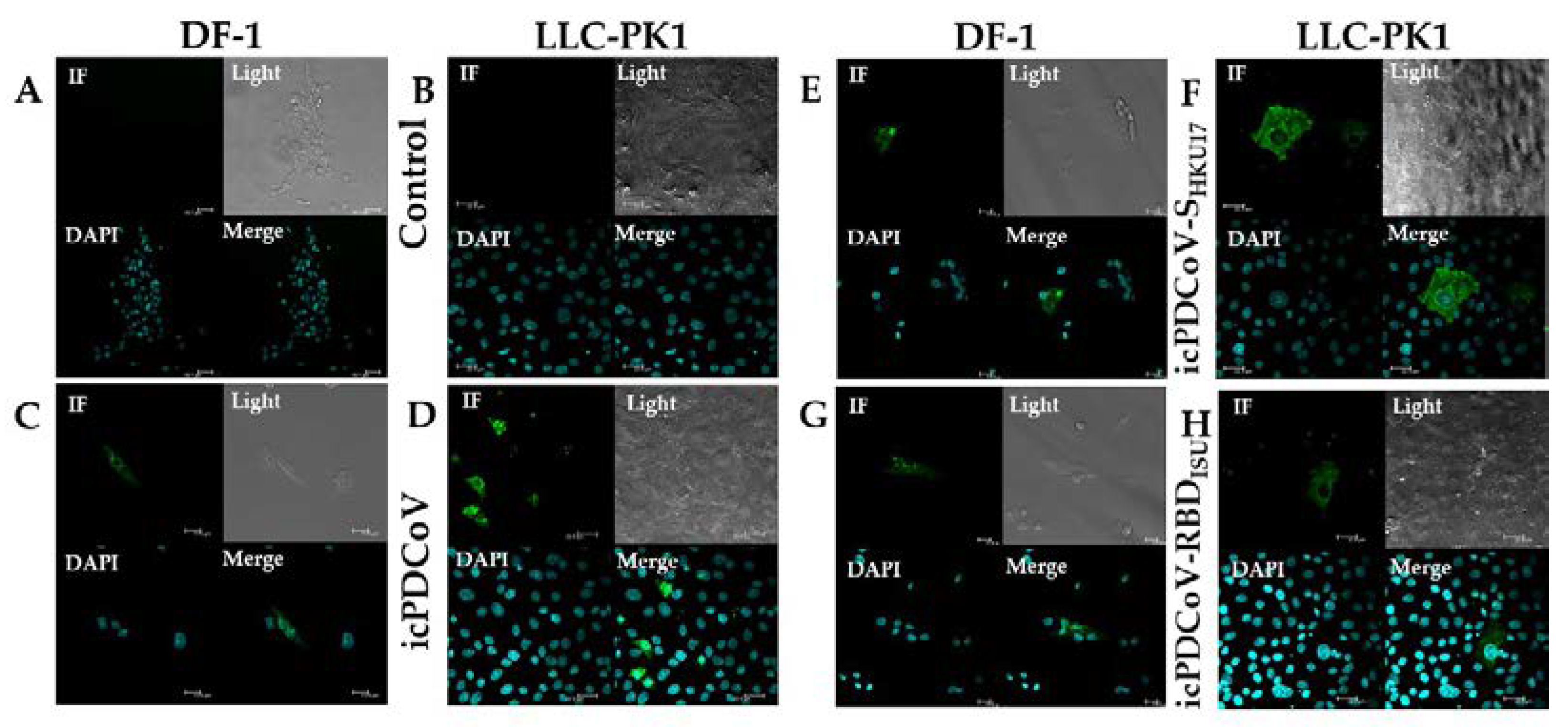 Viruses 14 01225 g003
