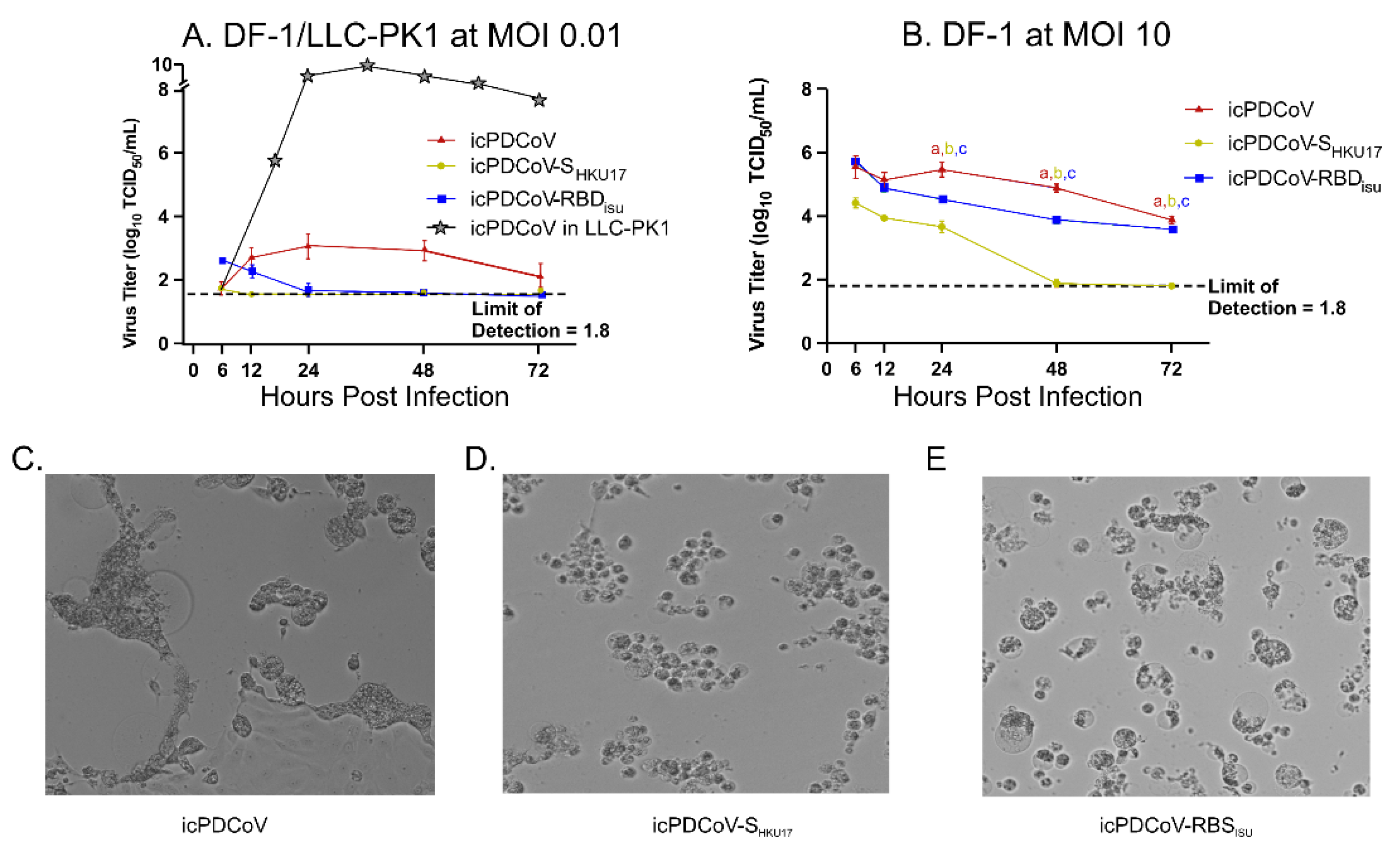 Viruses 14 01225 g004