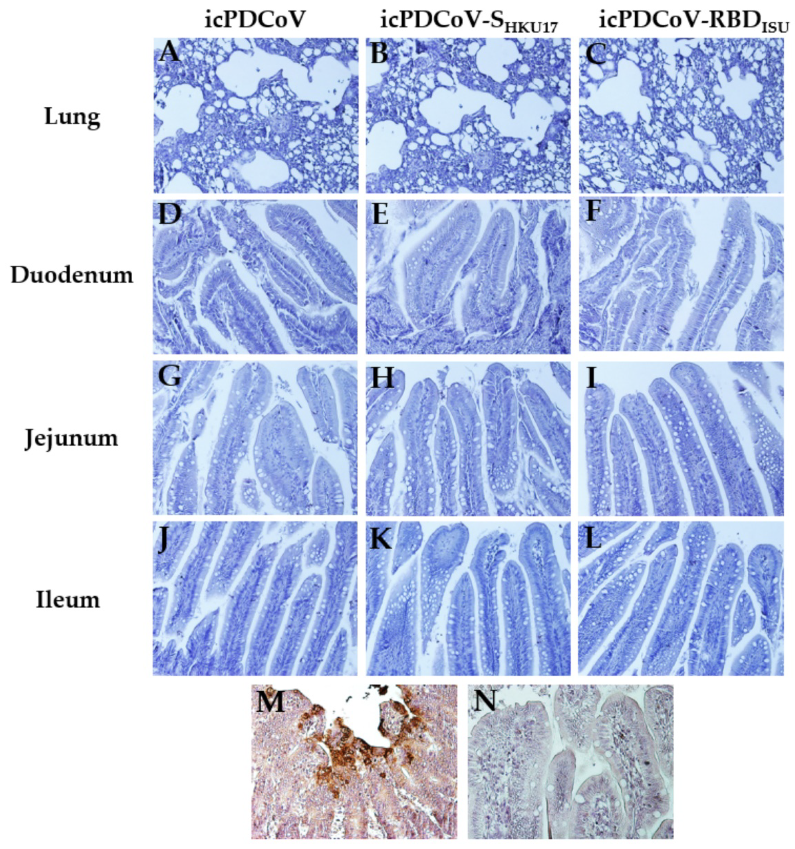 Viruses 14 01225 g009